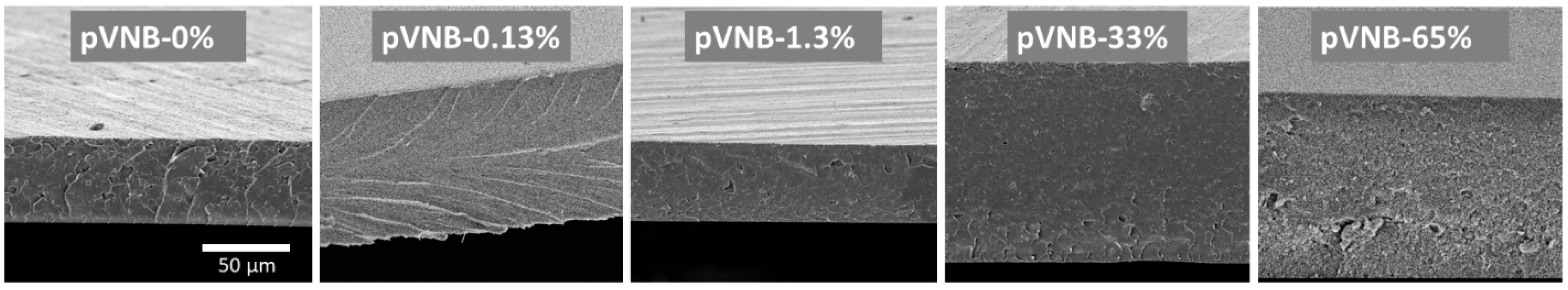 Polymers 11 00704 g010