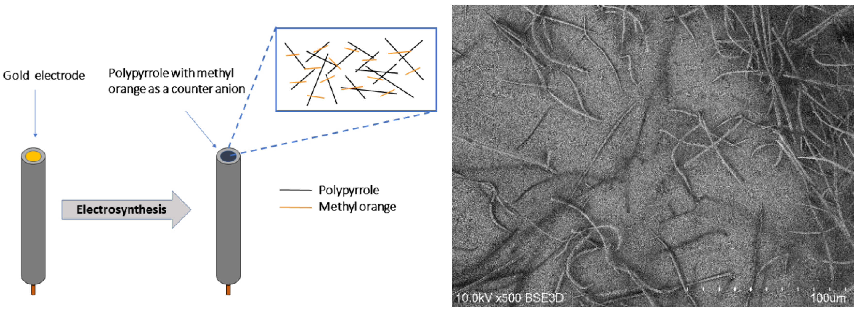 Polymers 11 00715 g001 Polymers 11 00715 g001