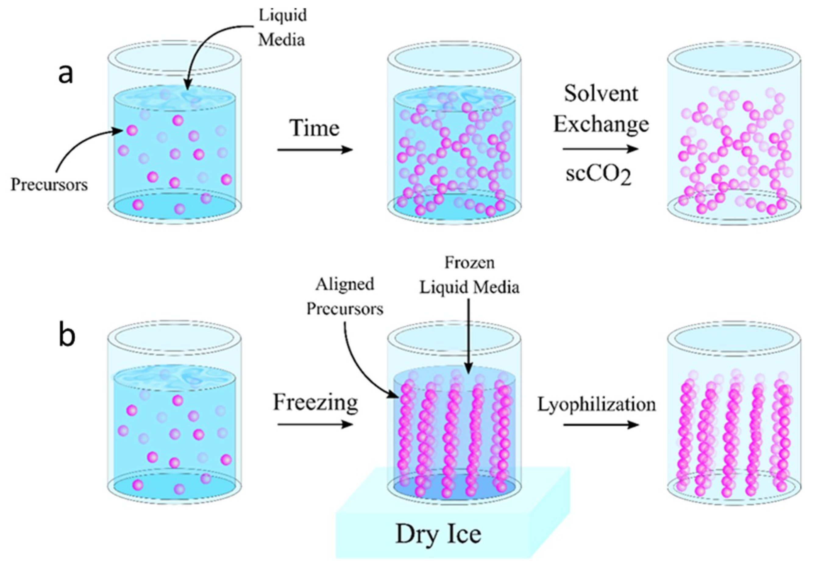 Polymers 11 00726 g001 Polymers 11 00726 g001