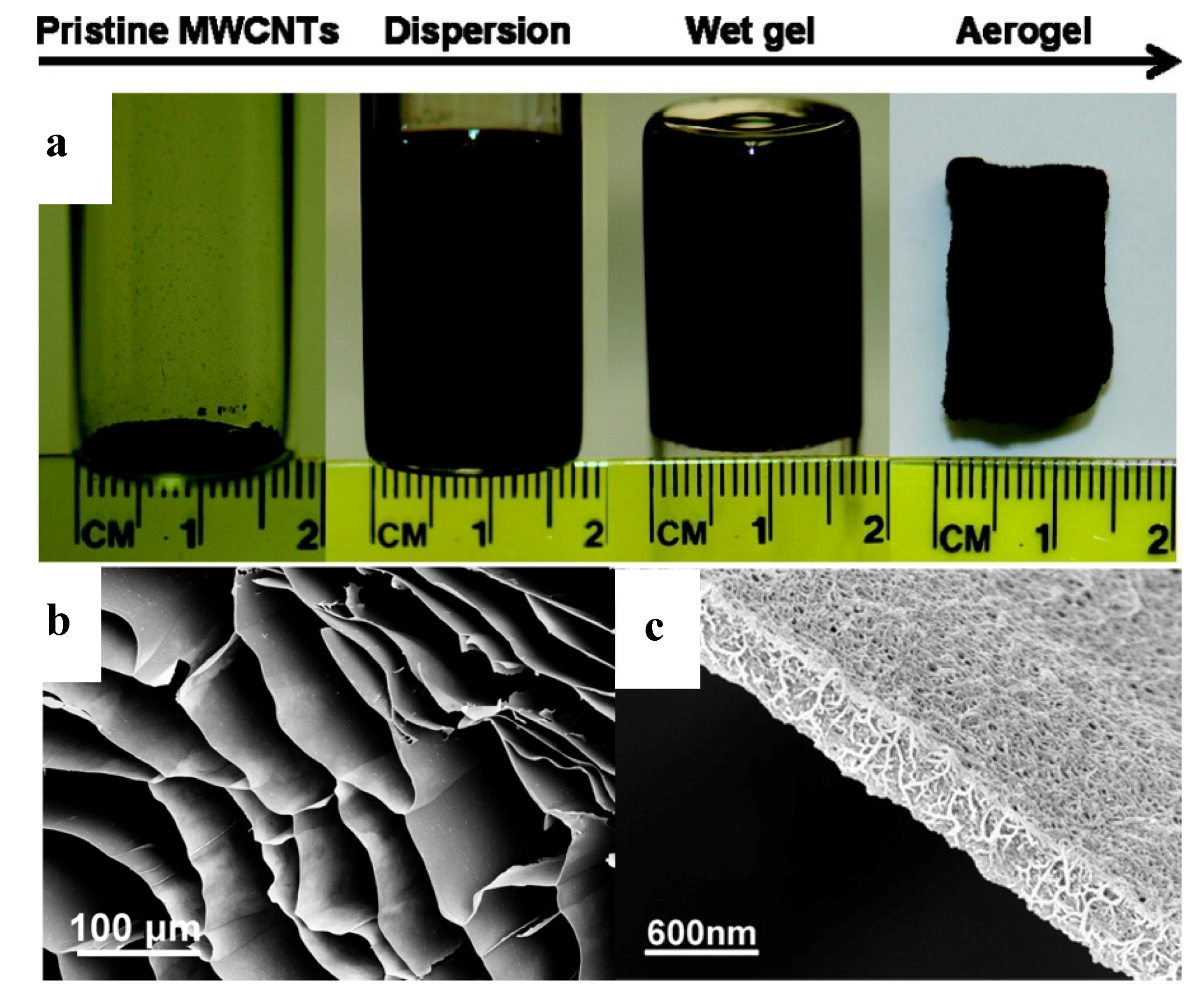 Polymers 11 00726 g004 Polymers 11 00726 g004