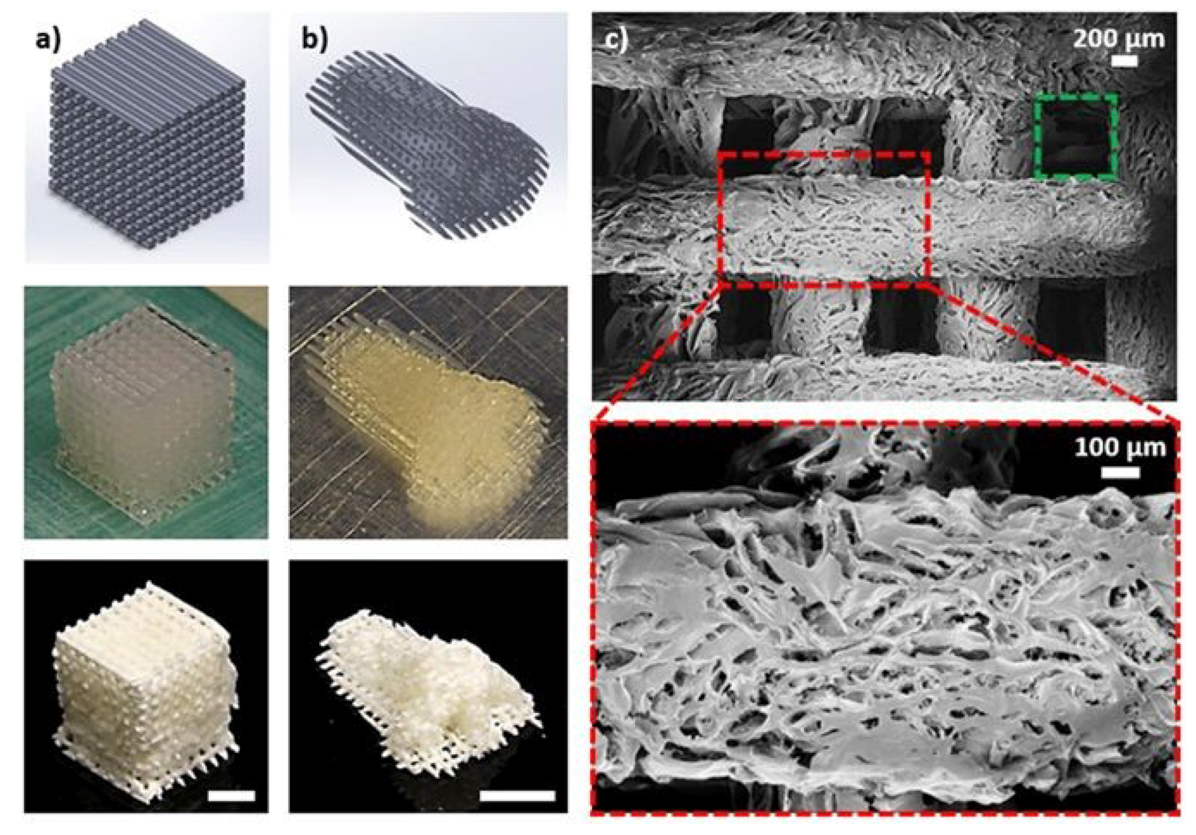 Polymers 11 00726 g005 Polymers 11 00726 g005