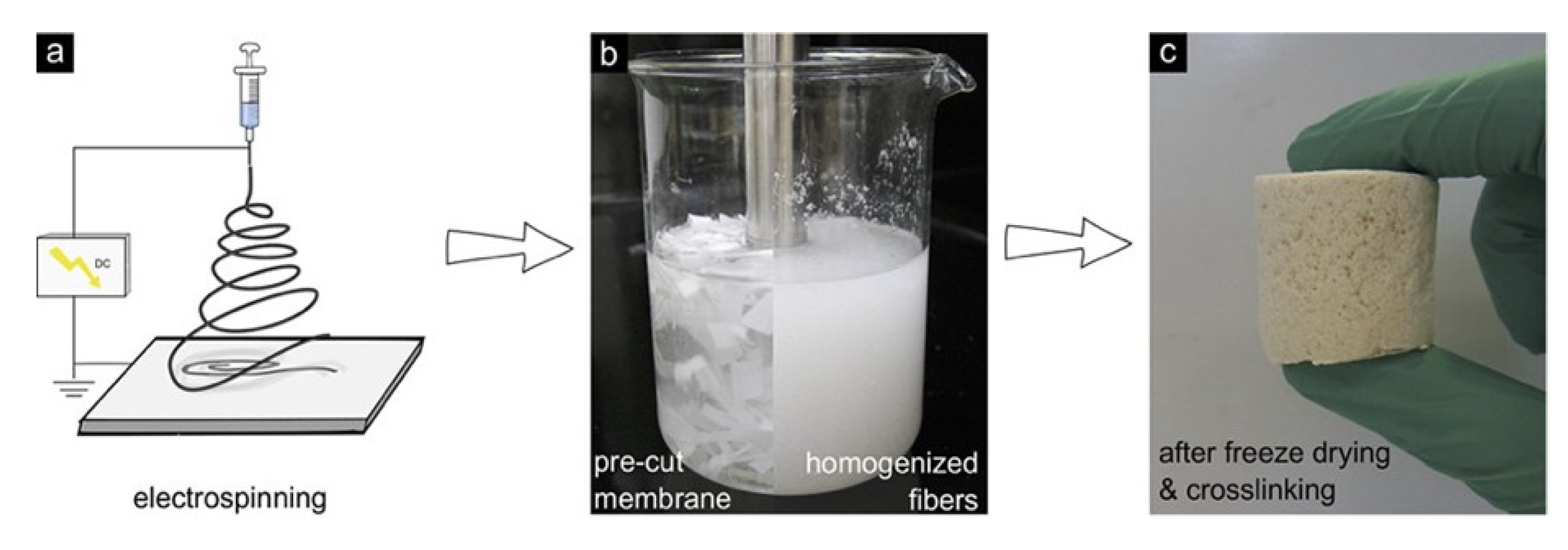 Polymers 11 00726 g007 Polymers 11 00726 g007