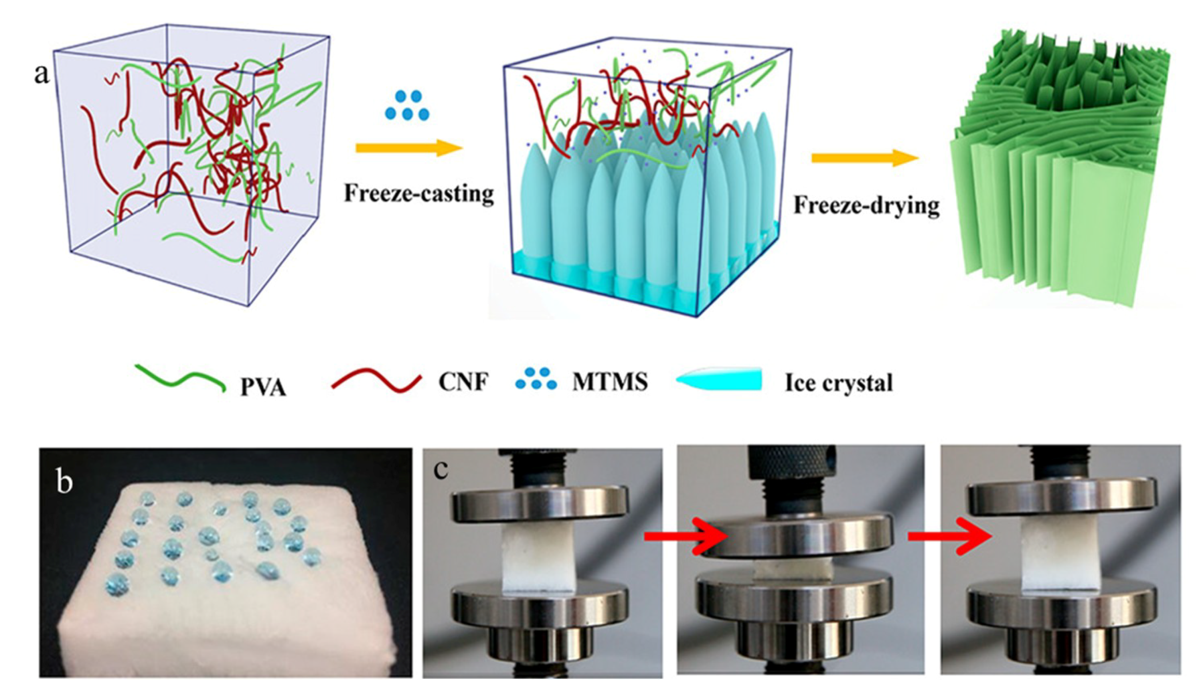 Polymers 11 00726 g013 Polymers 11 00726 g013