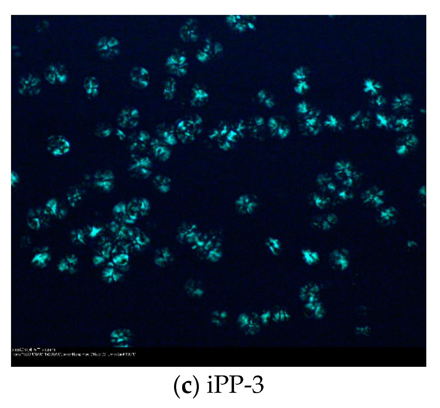 Polymers 11 00729 g003b