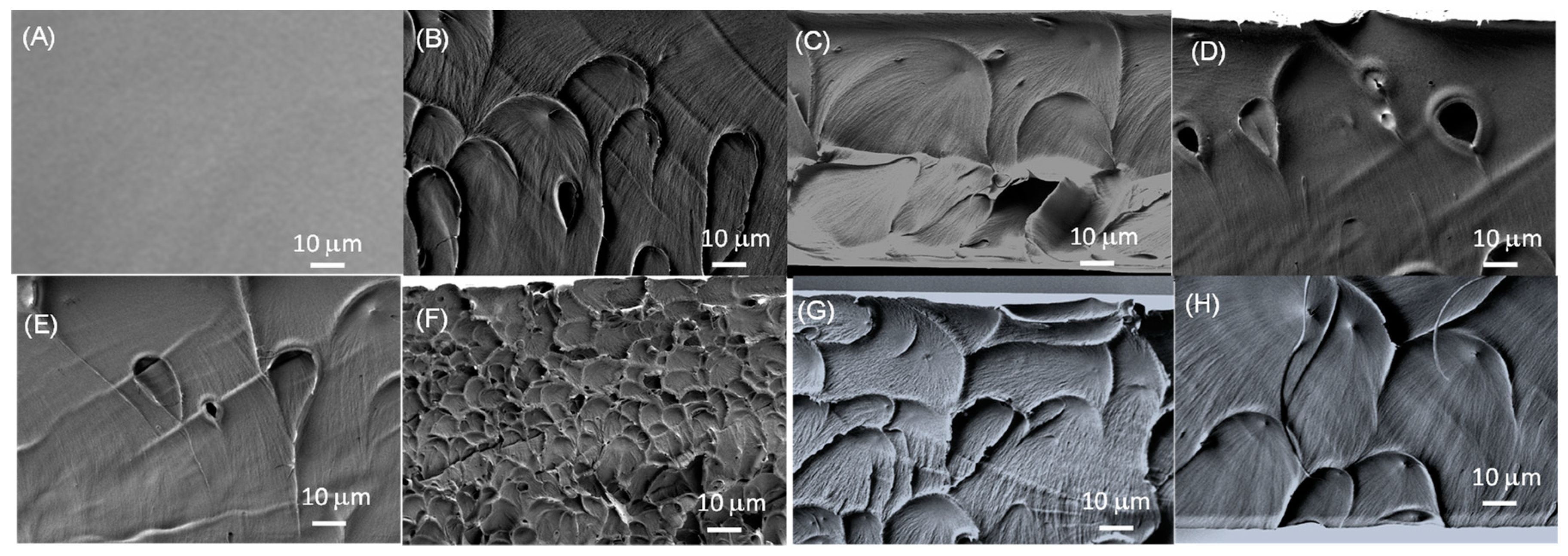 Polymers 11 00732 g003