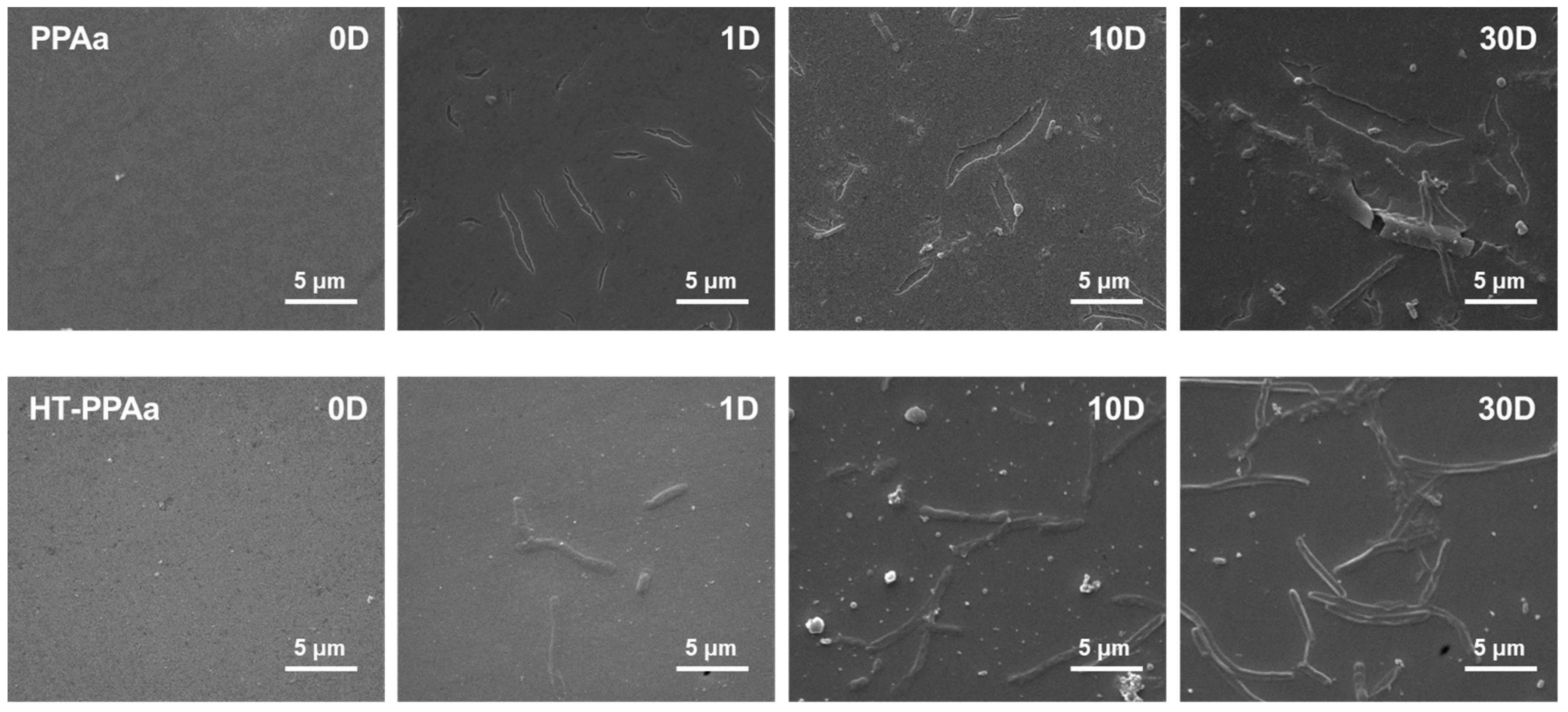 Polymers 11 00734 g006