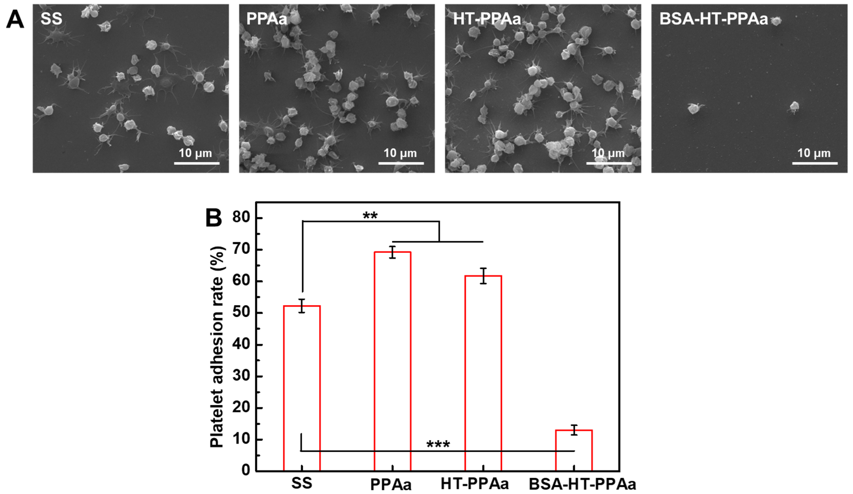 Polymers 11 00734 g010