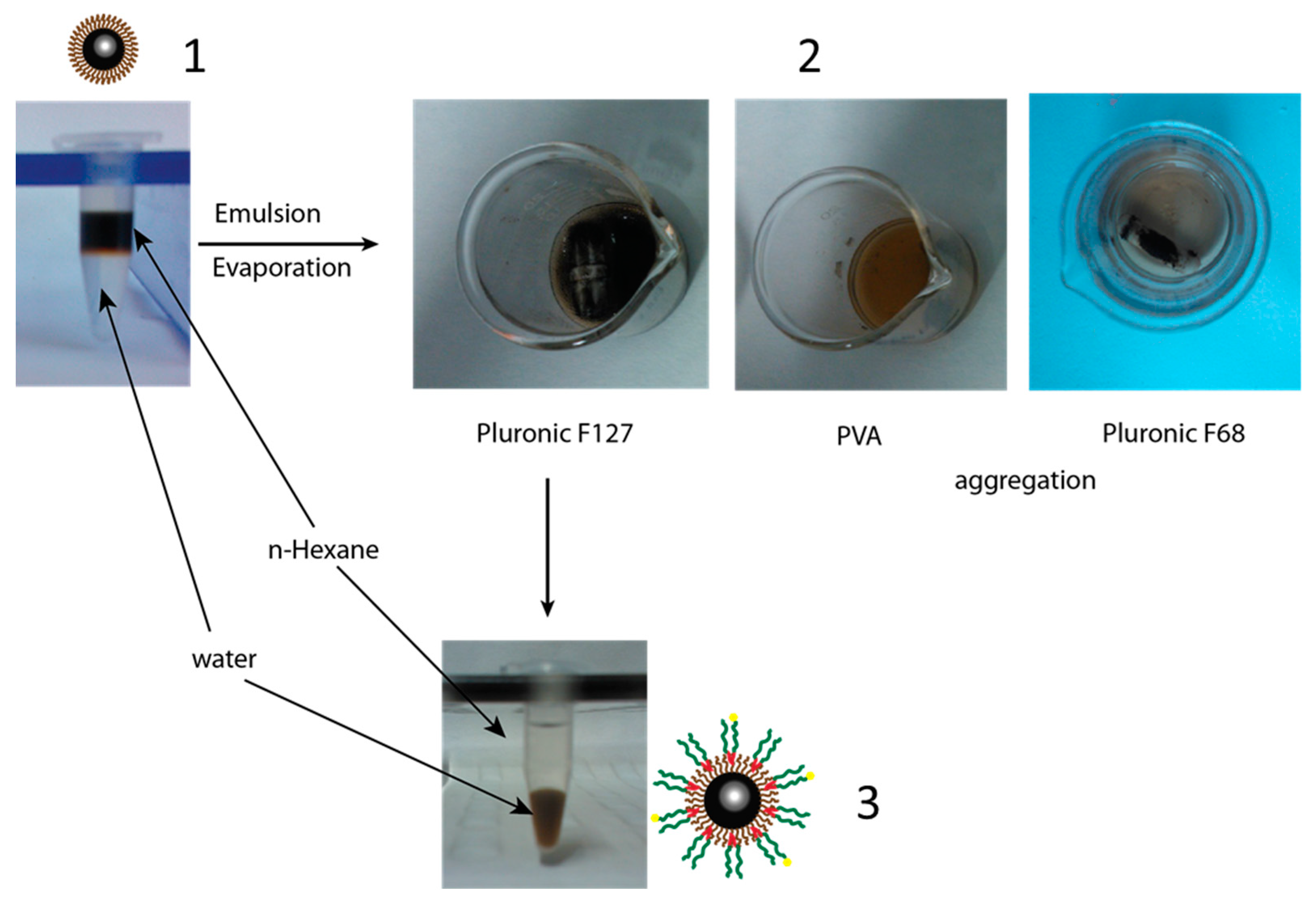 Polymers 11 00743 g003