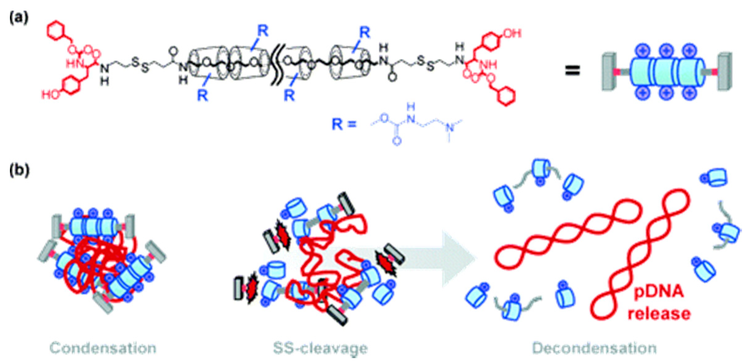 Polymers 11 00745 g012