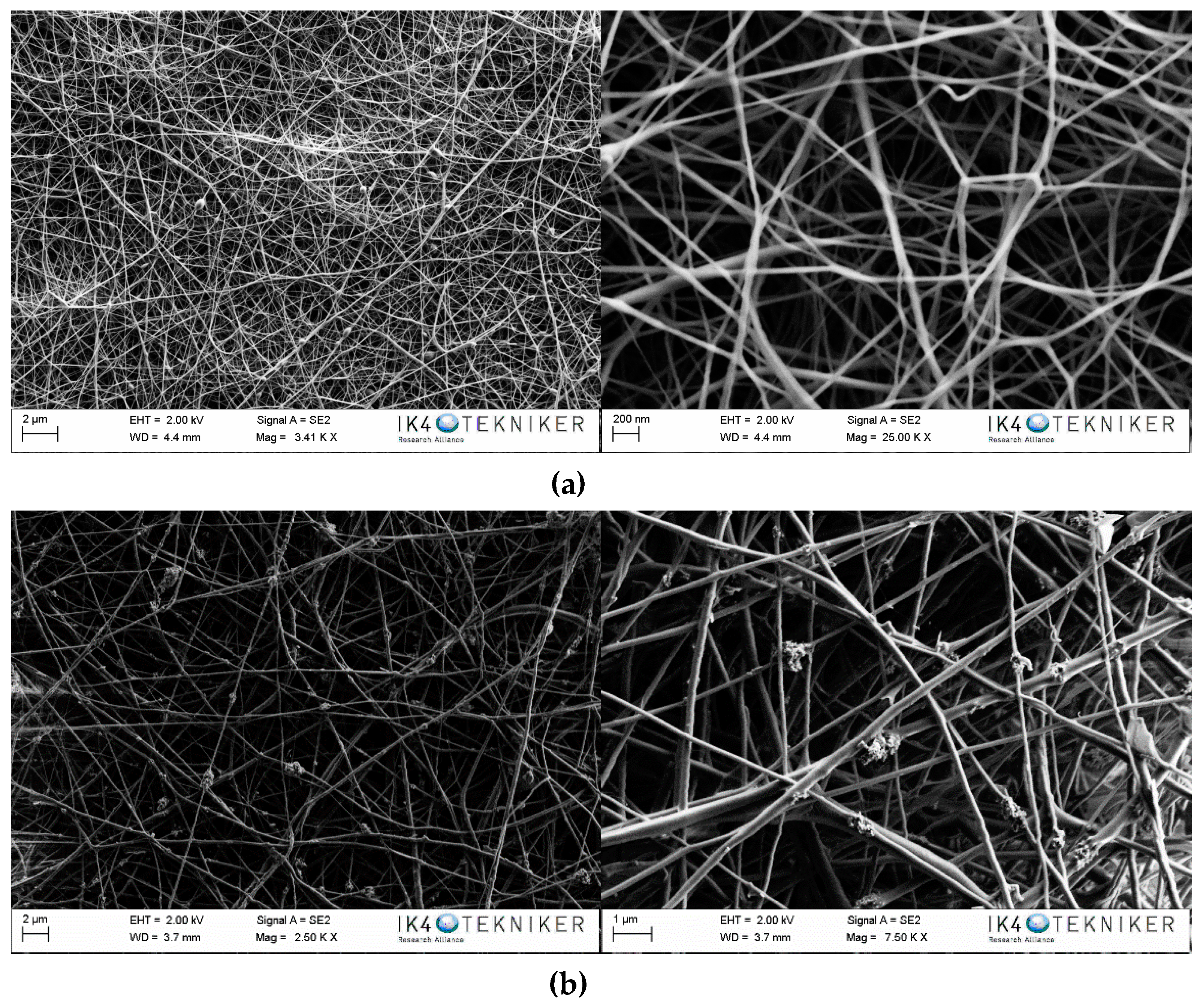 Polymers 11 00747 g003