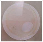 Polymers 11 00747 i002