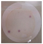 Polymers 11 00747 i003