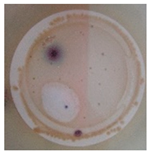 Polymers 11 00747 i006