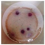 Polymers 11 00747 i007