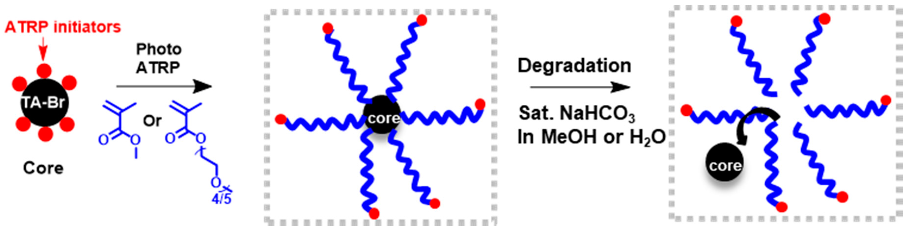 Polymers 11 00752 sch001 Polymers 11 00752 sch001