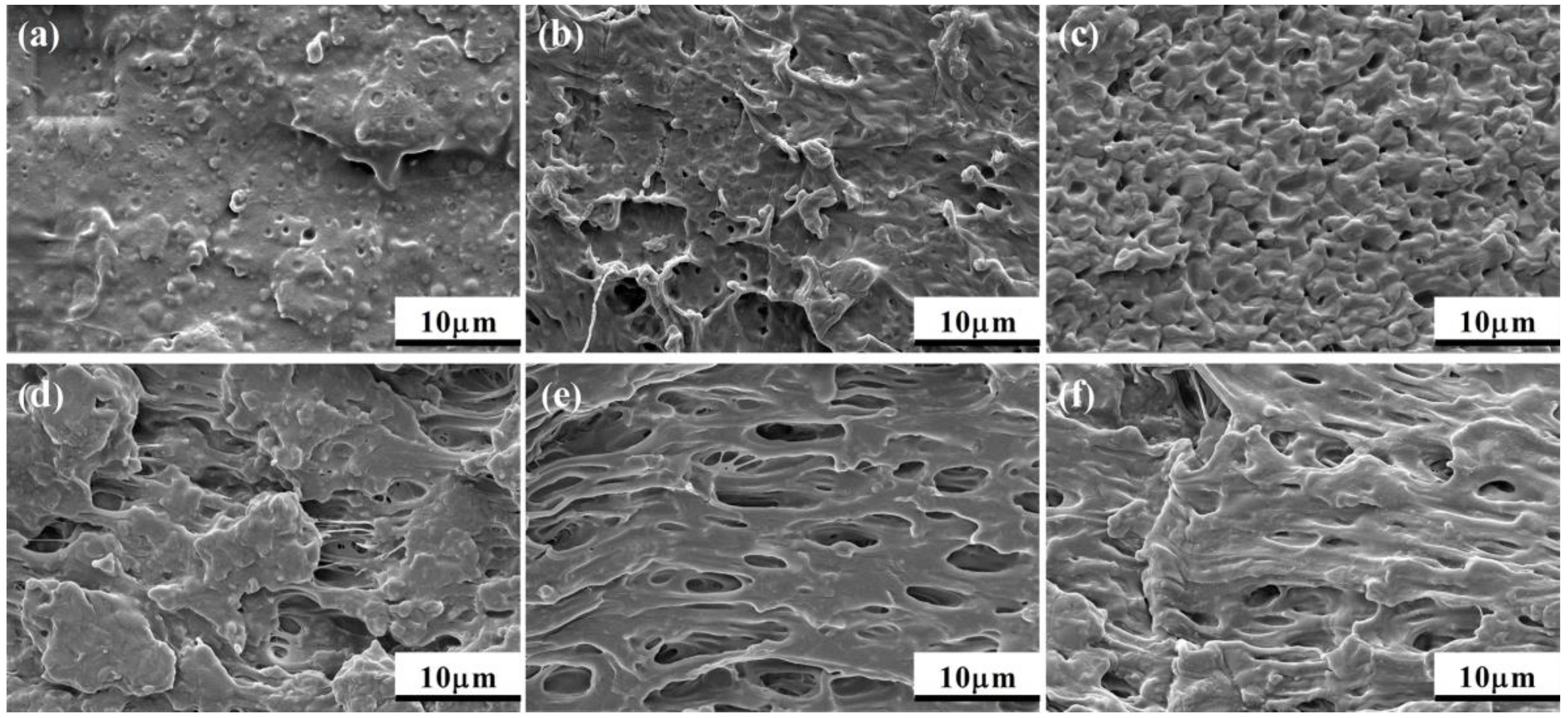 Polymers 11 00771 g013