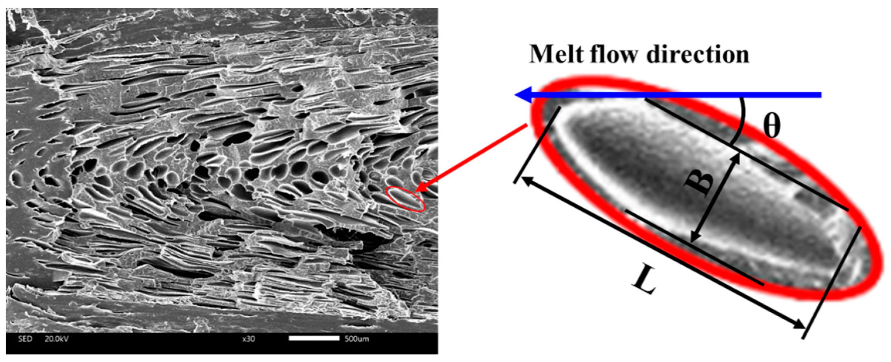 Polymers 11 00778 g006 550