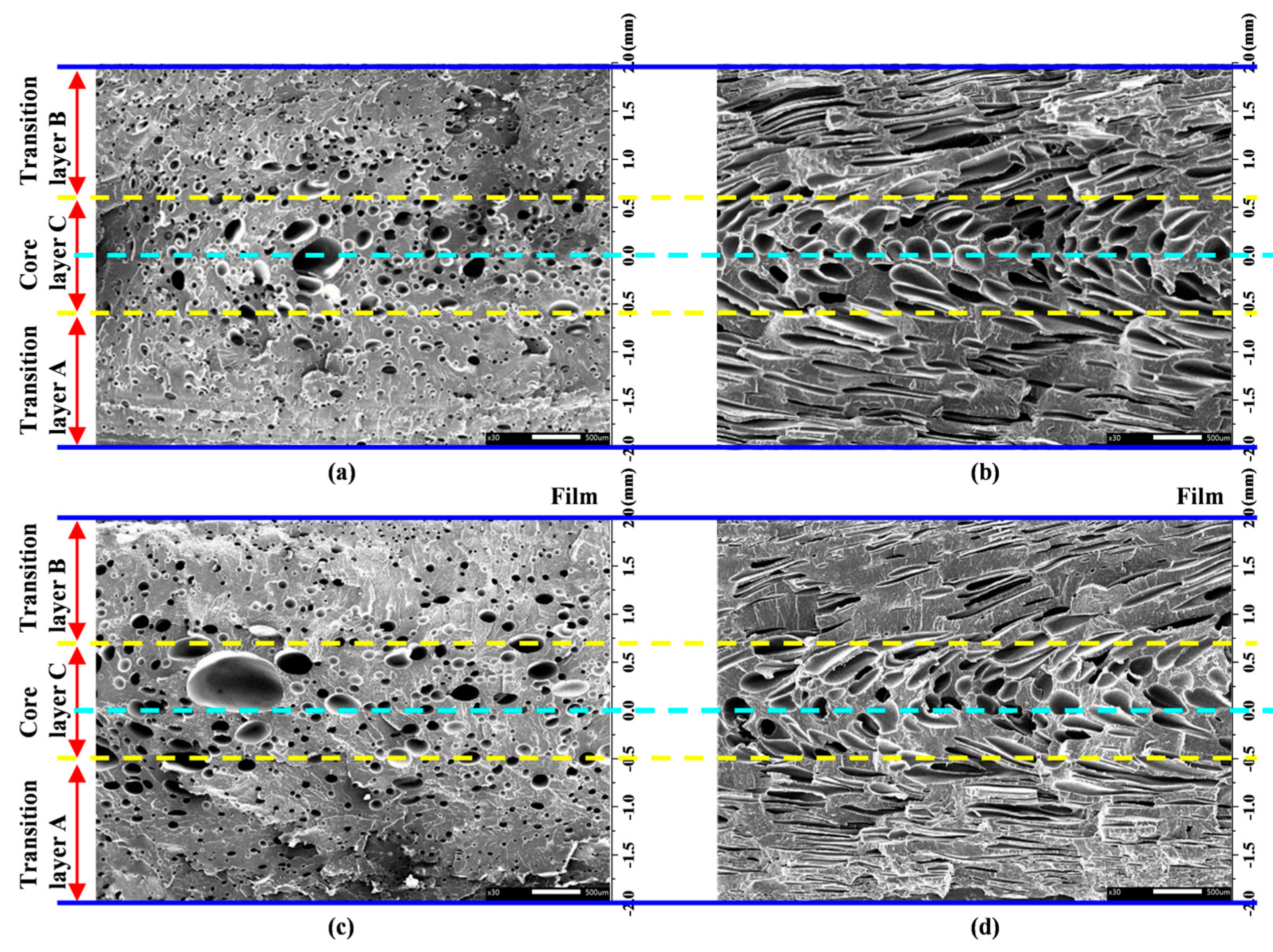 Polymers 11 00778 g013 550