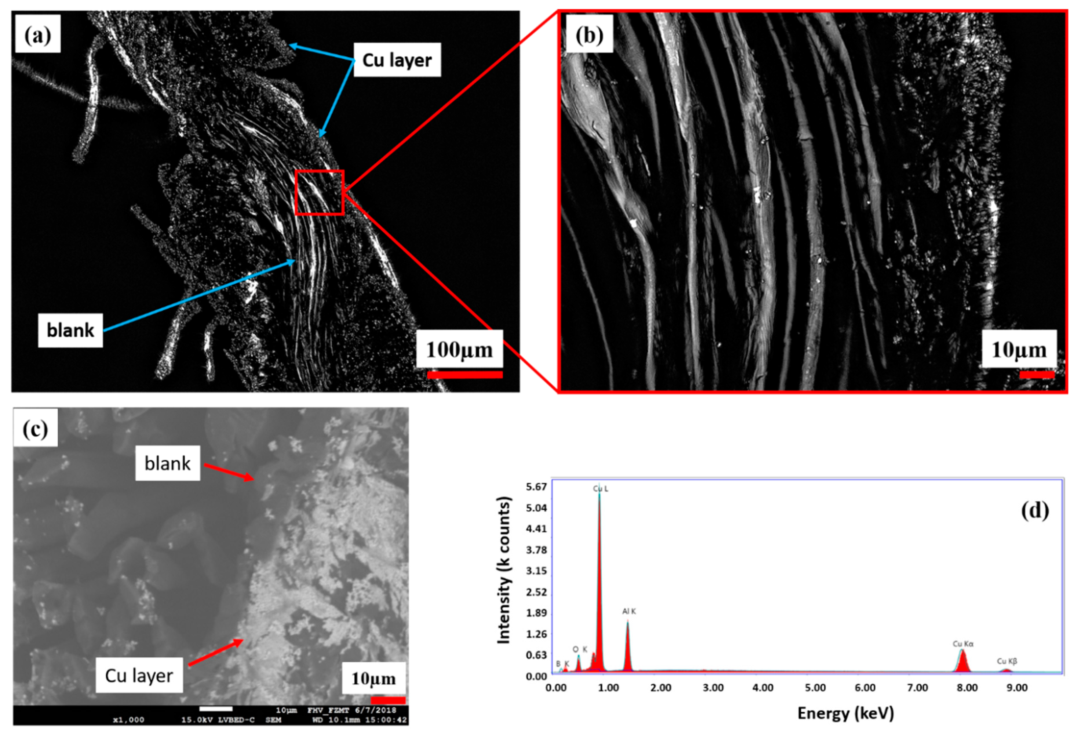 Polymers 11 00784 g007