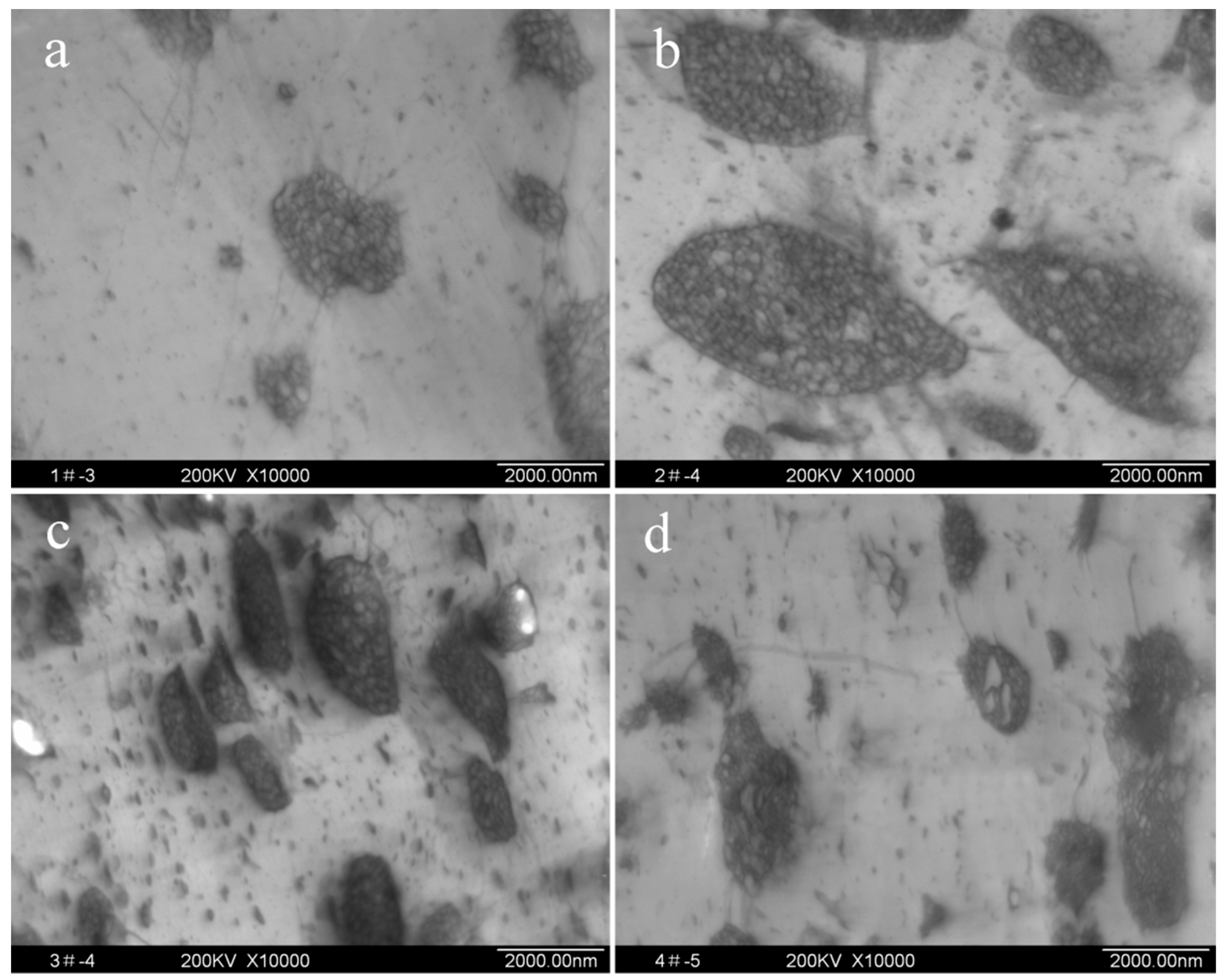 Polymers 11 00791 g003 550
