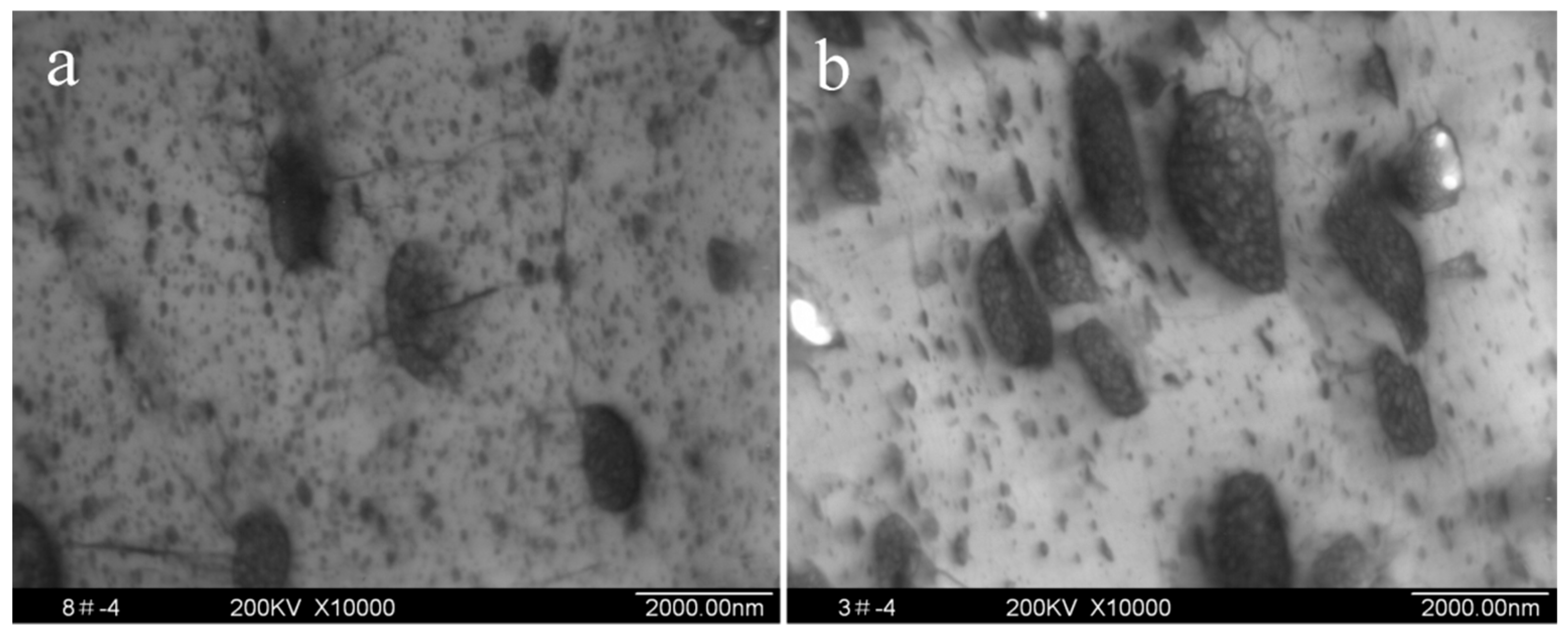 Polymers 11 00791 g004 550