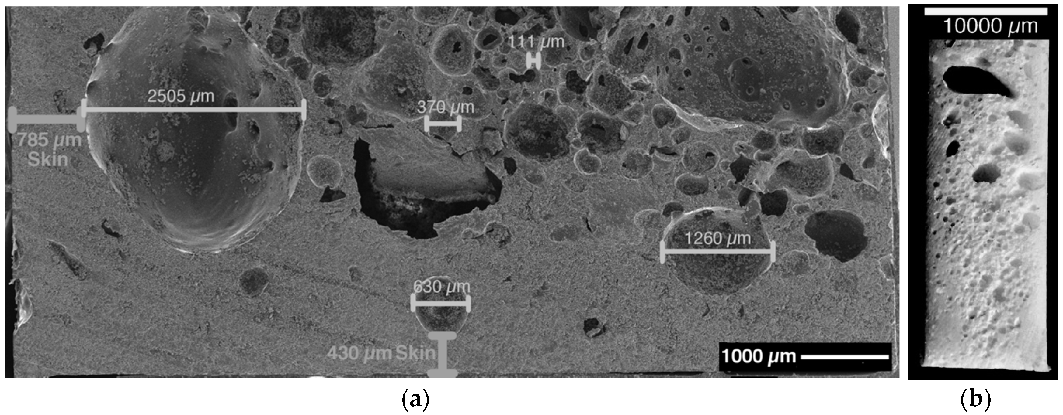 Polymers 11 00793 g008