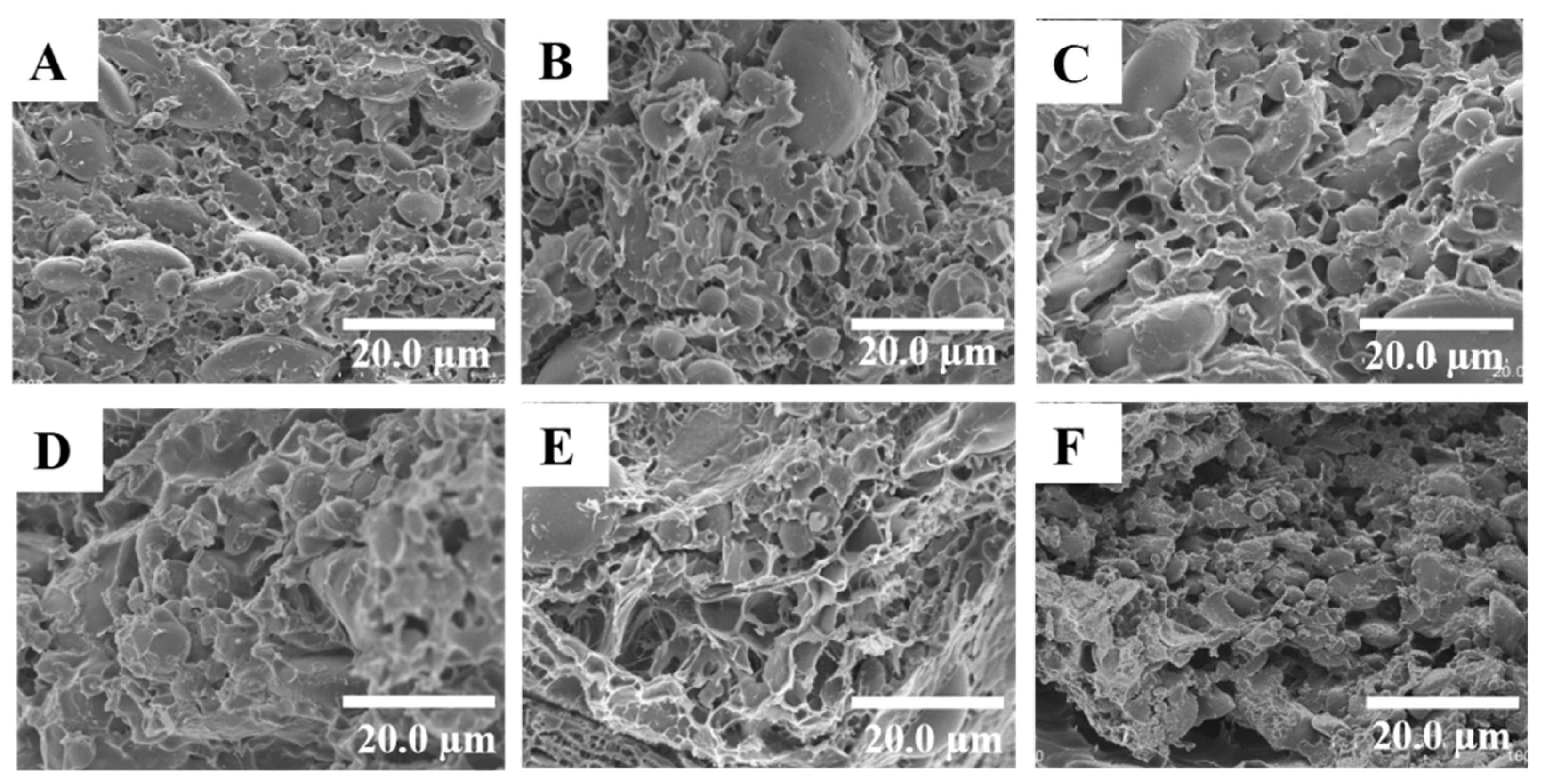 Polymers 11 00794 g005