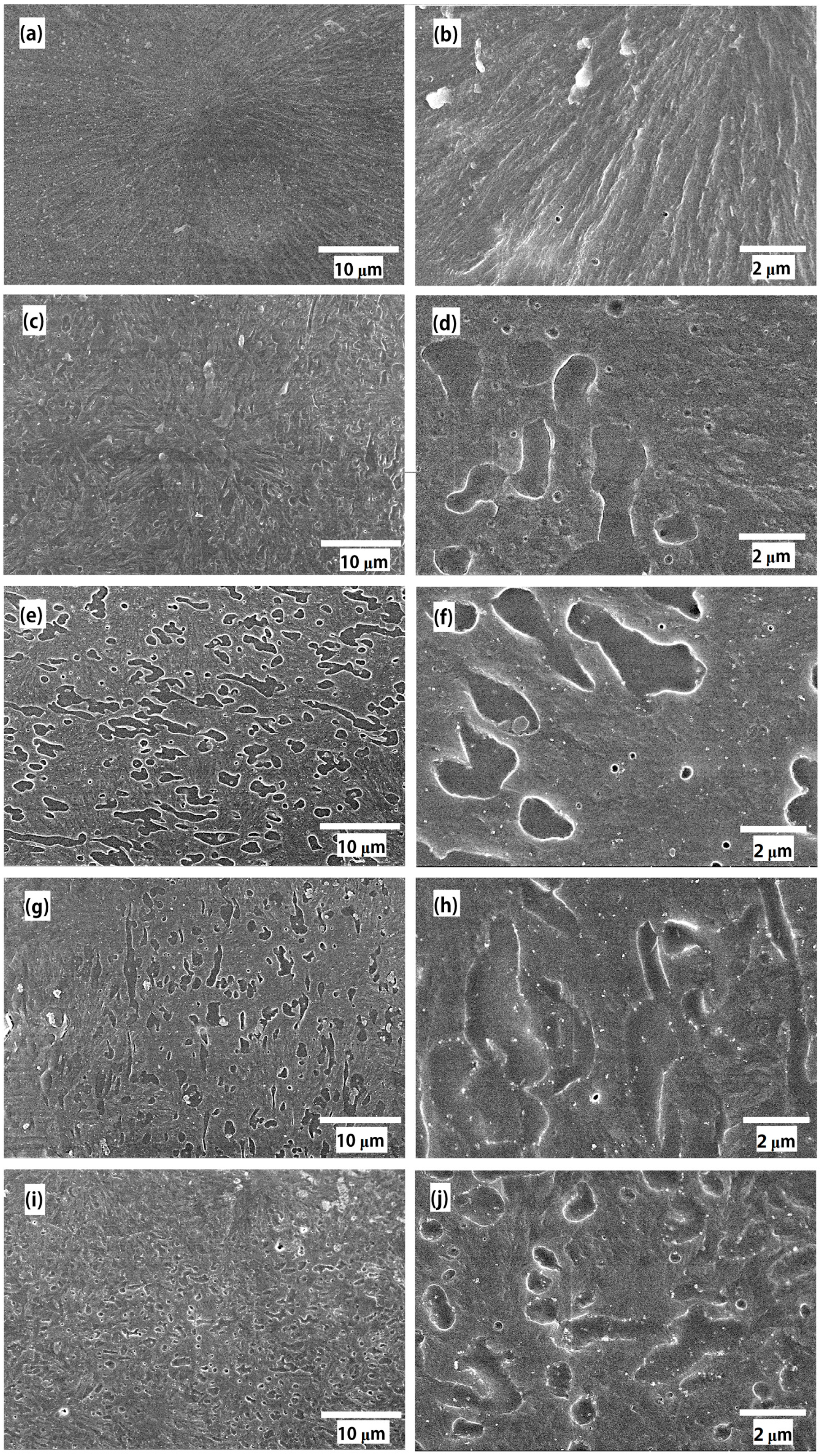 Polymers 11 00797 g001 550