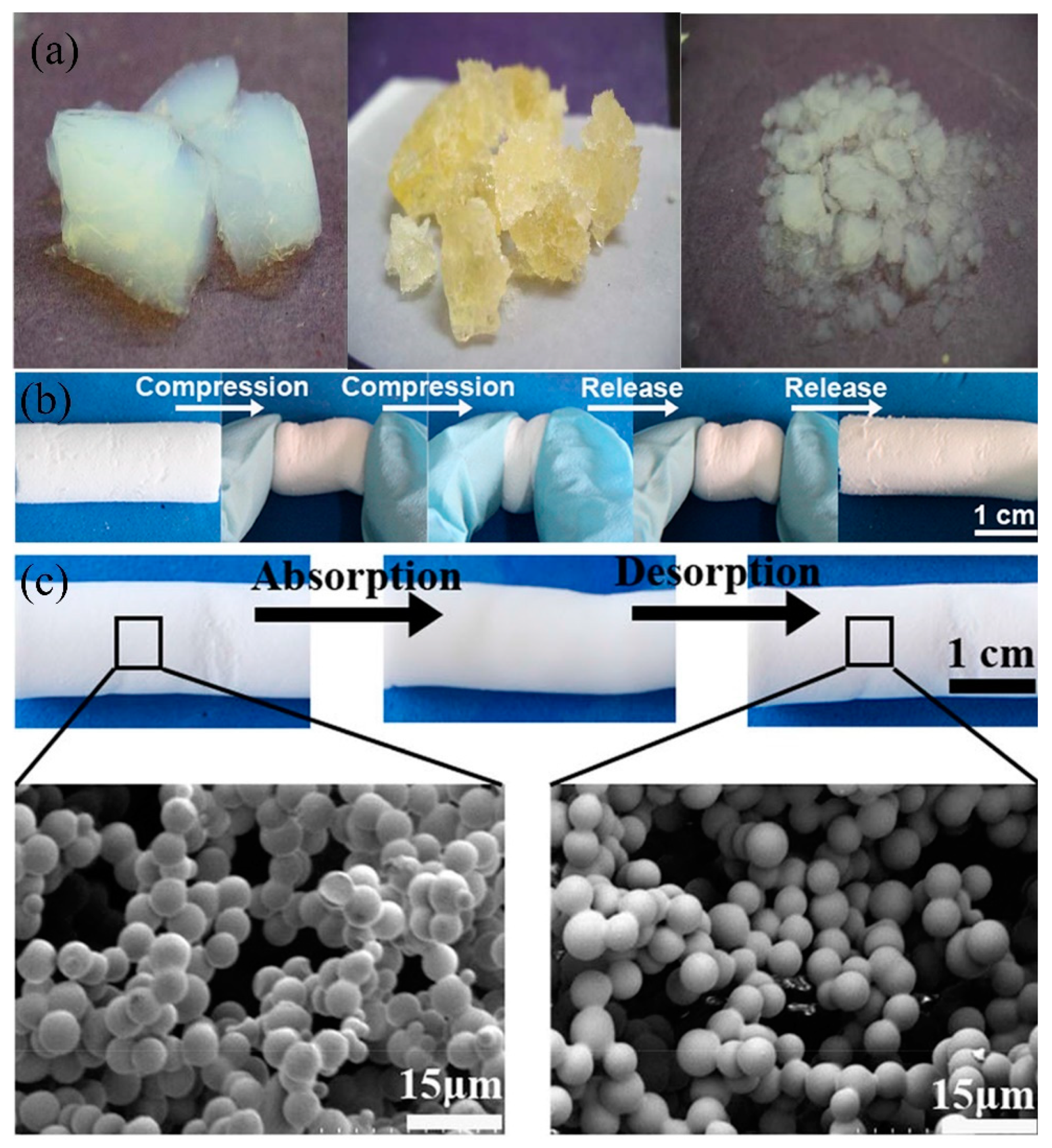 Polymers 11 00806 g012