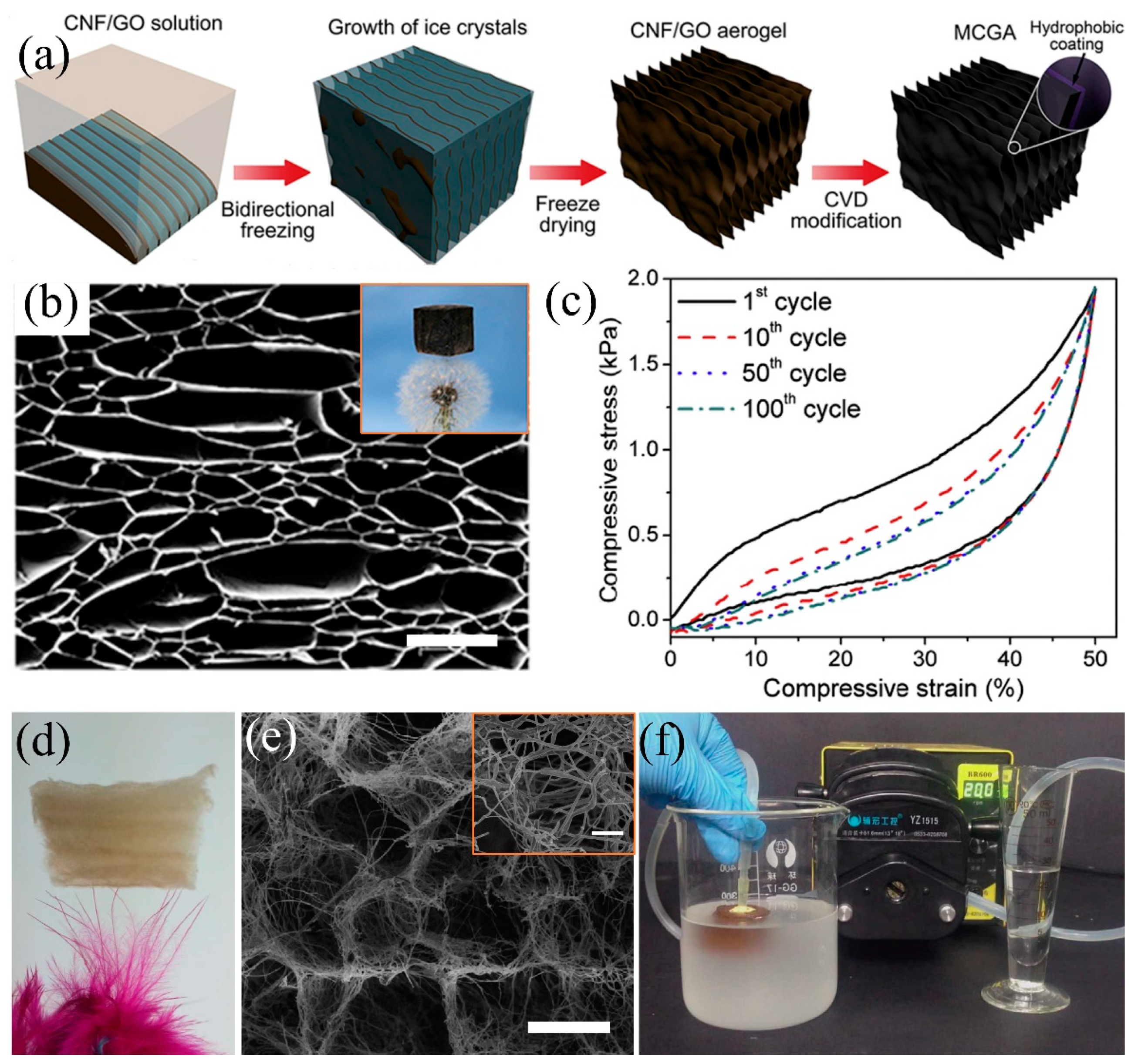 Polymers 11 00806 g013