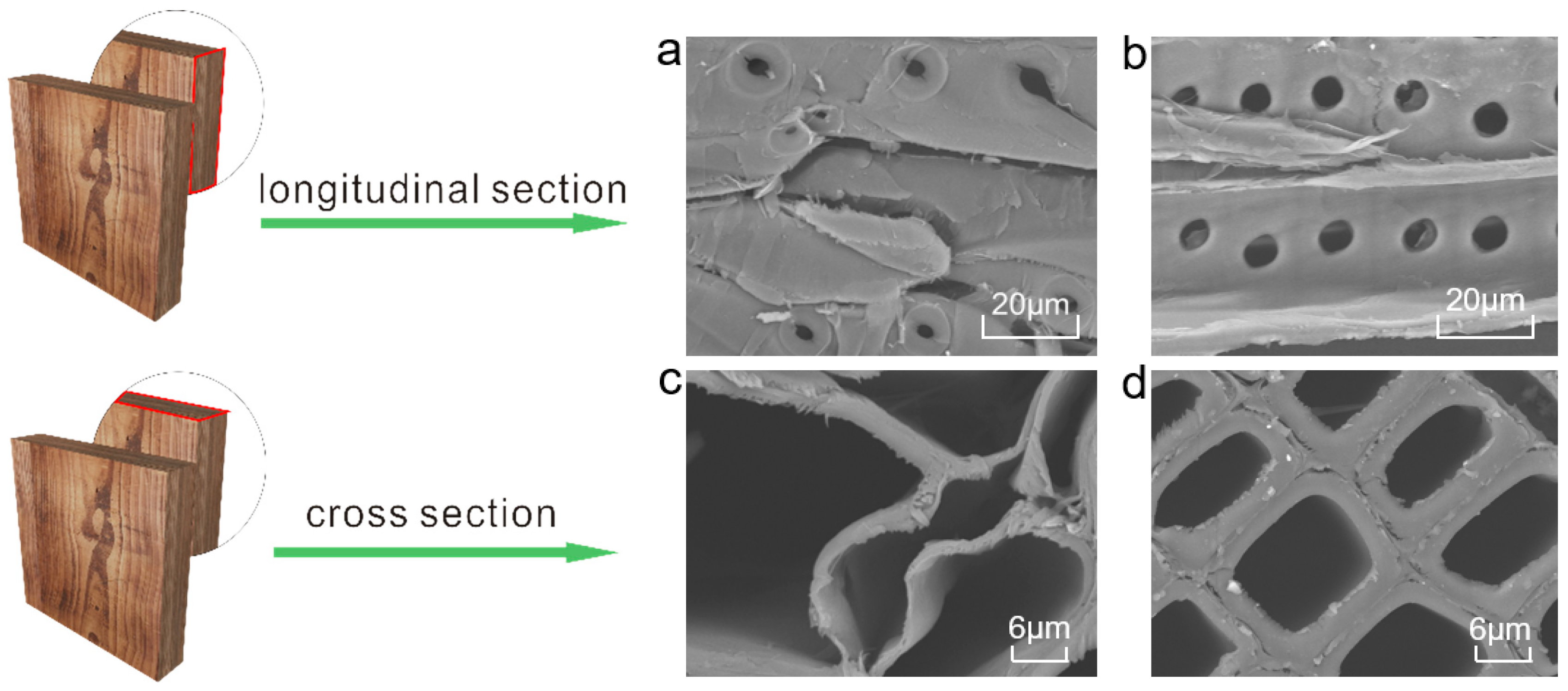 Polymers 11 00809 g006