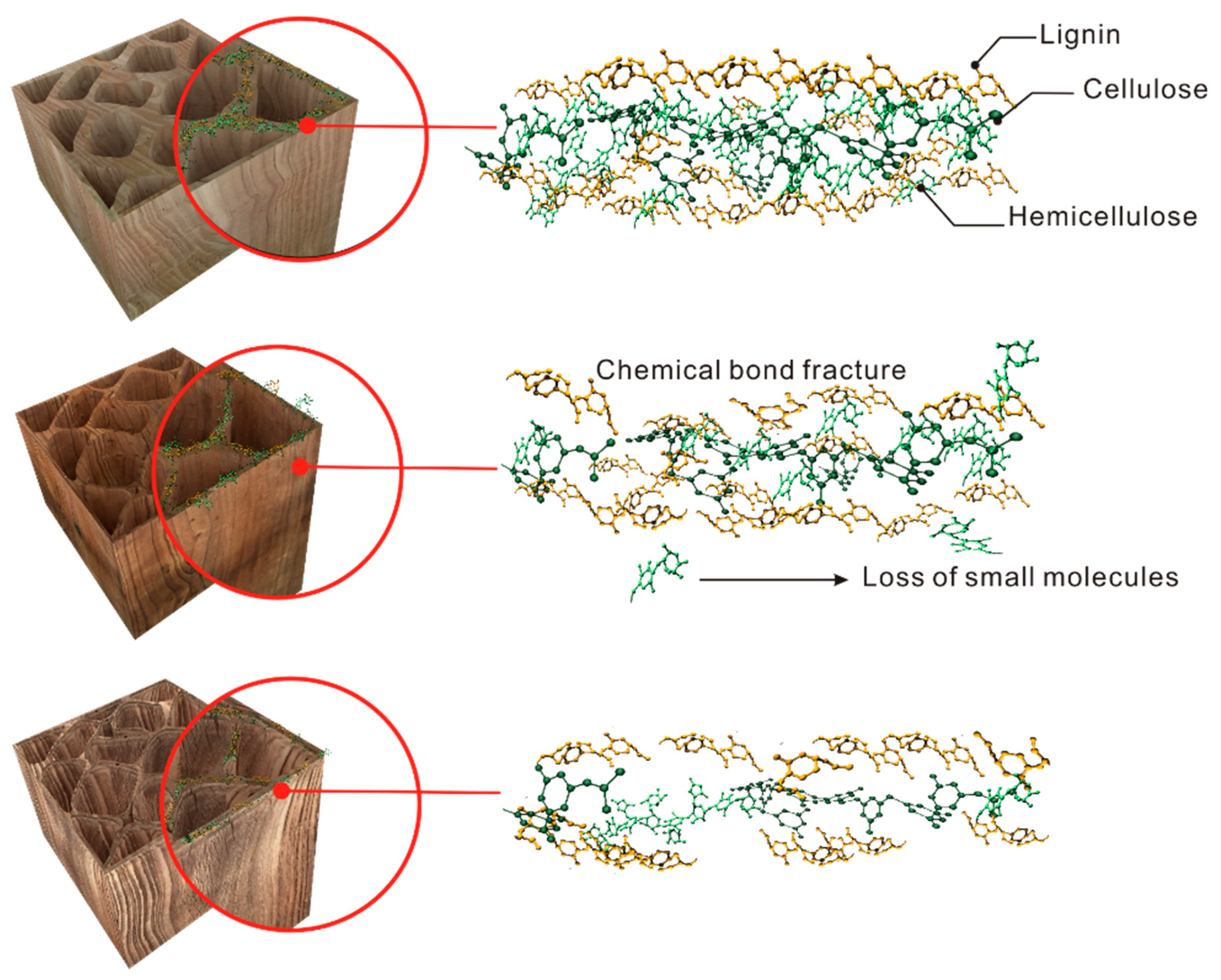 Polymers 11 00809 g007