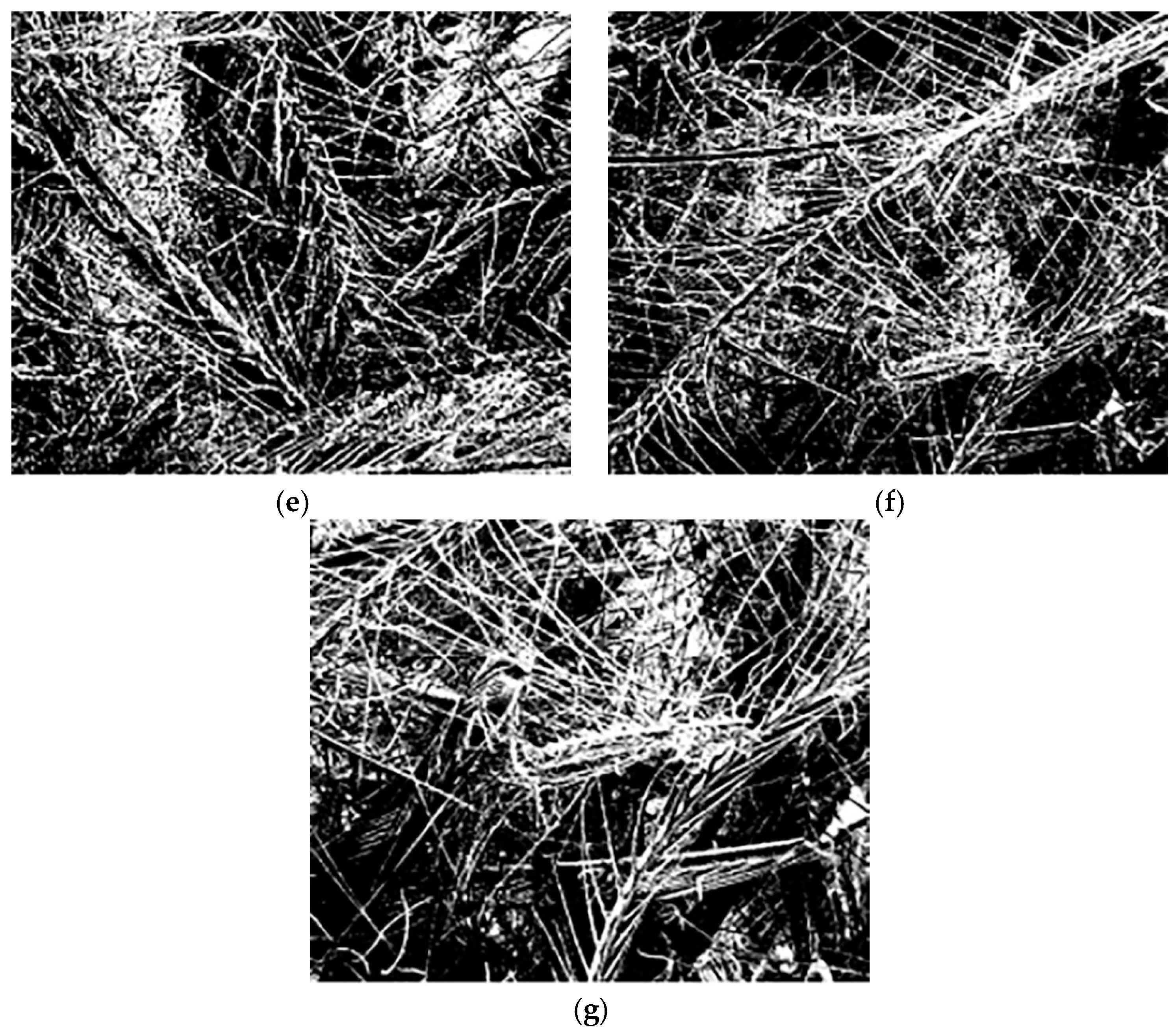 Polymers 11 00811 g010b 550