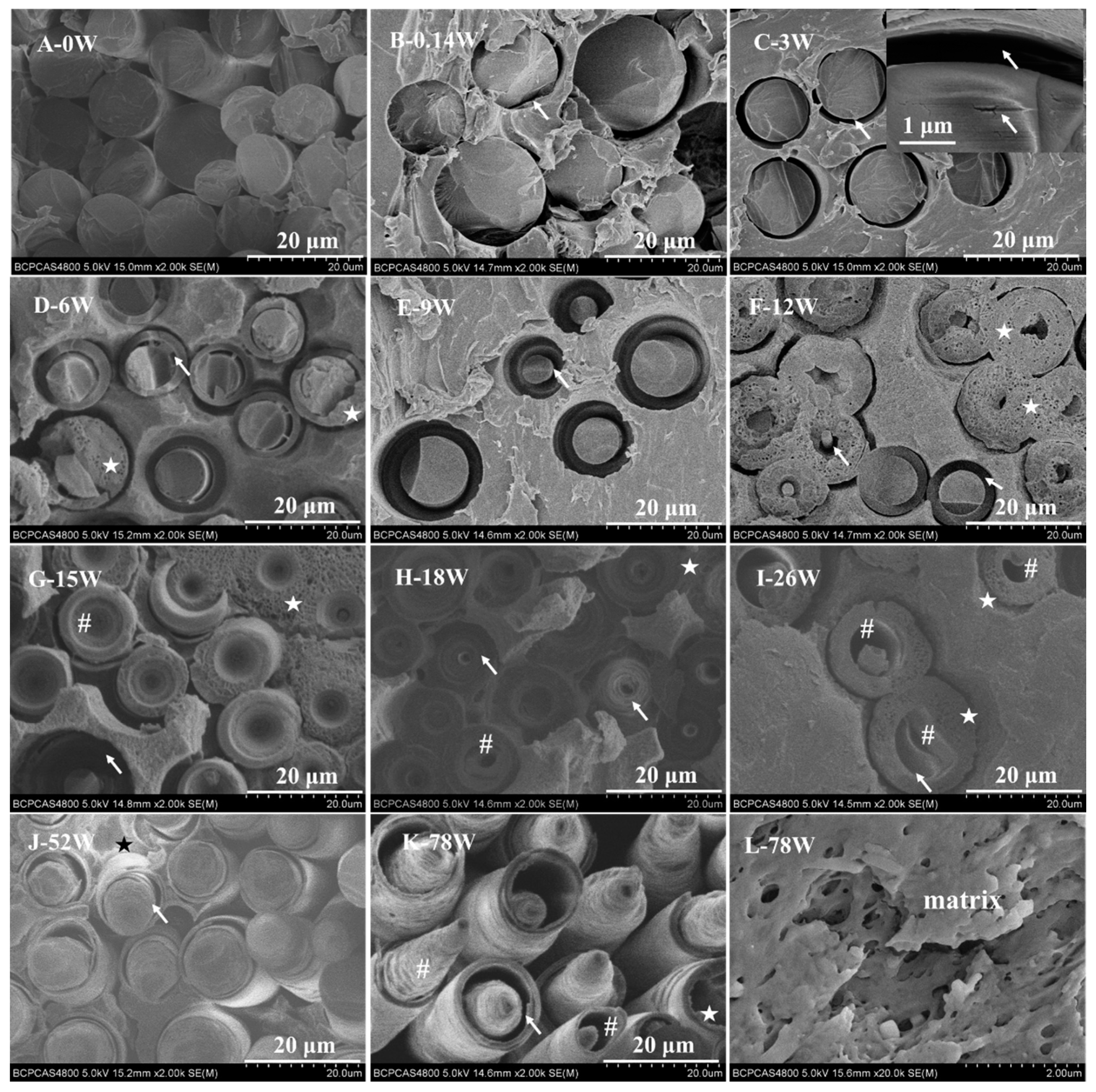 Polymers 11 00812 g001