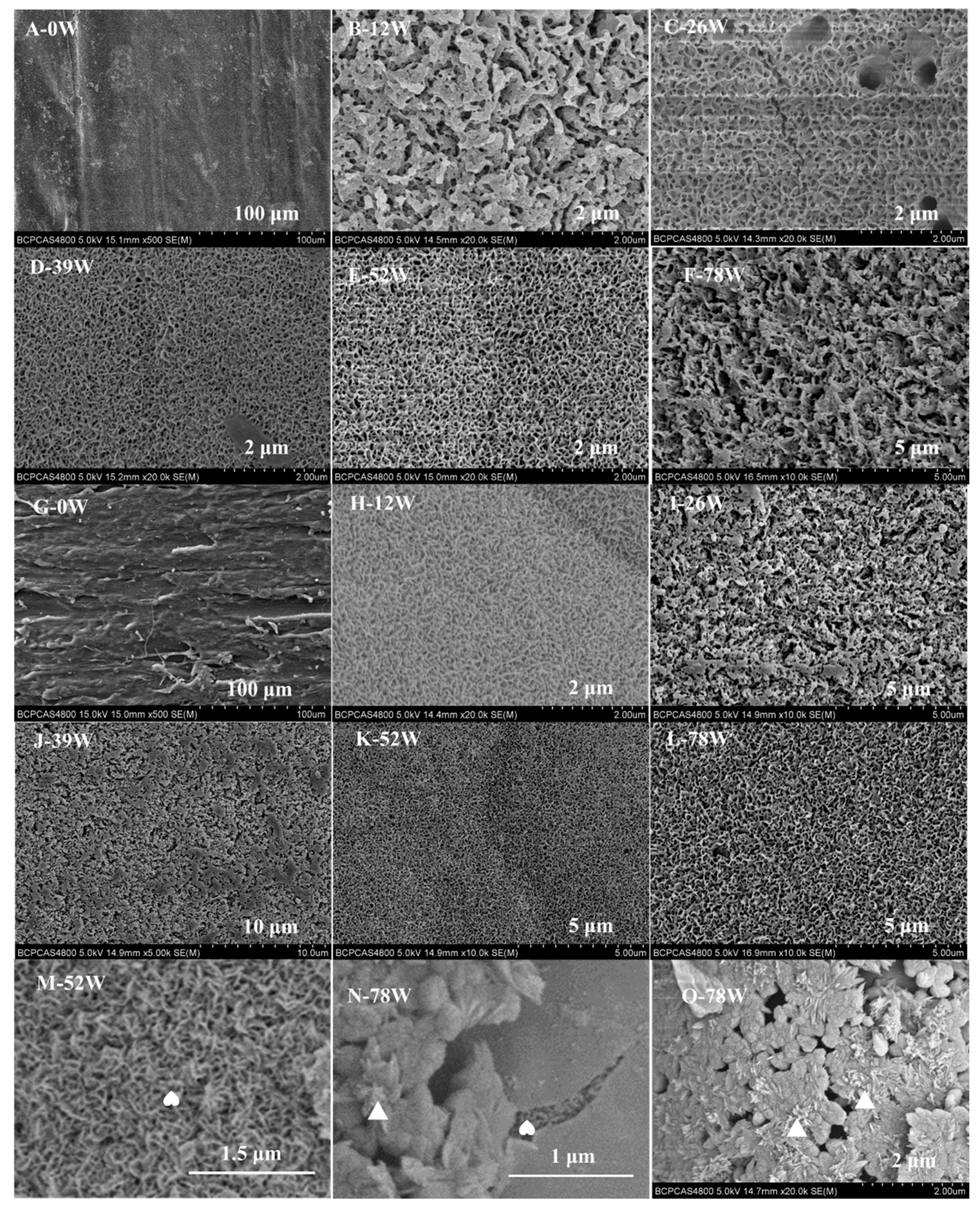 Polymers 11 00812 g0a3