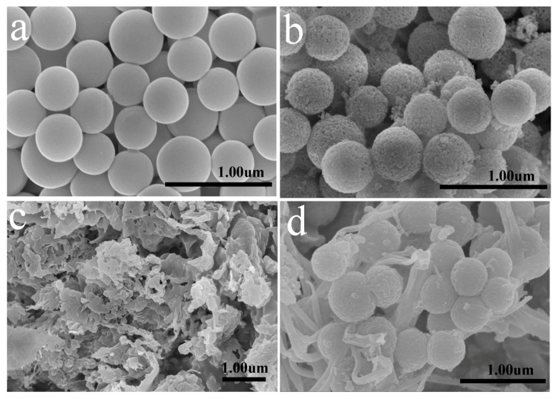Polymers 11 00815 g003 550