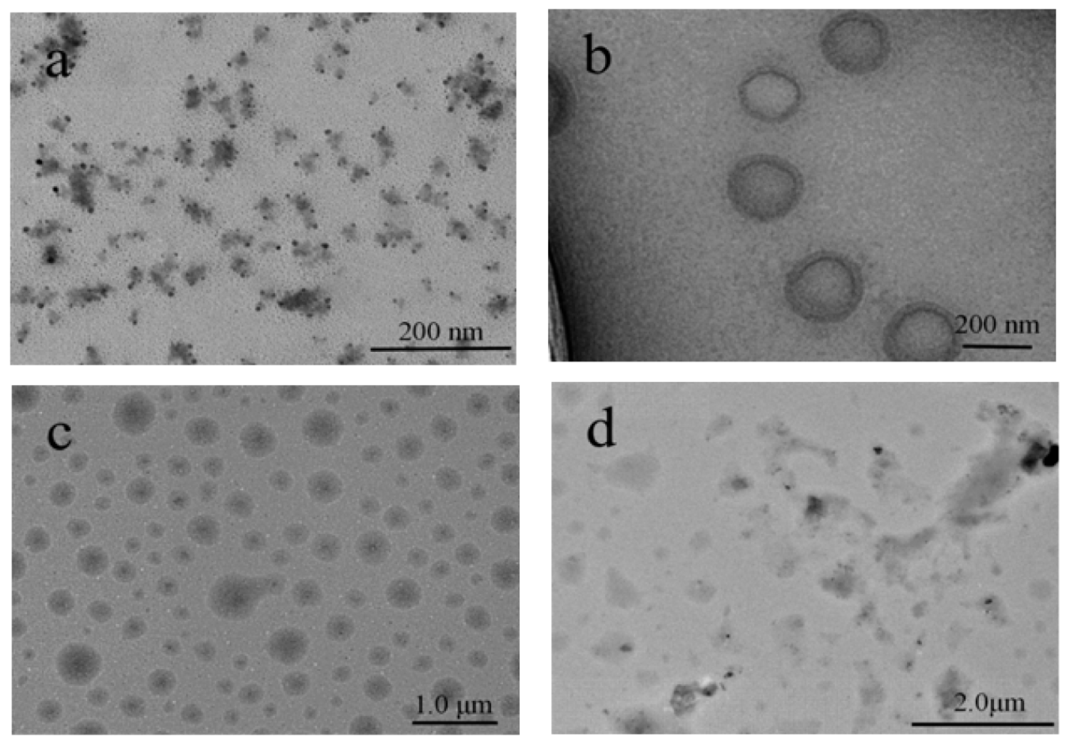 Polymers 11 00820 g004 Polymers 11 00820 g004