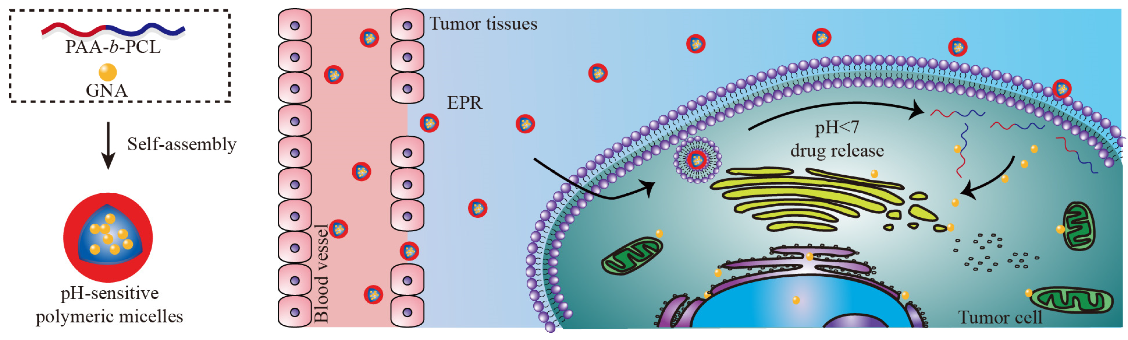 Polymers 11 00820 sch001 Polymers 11 00820 sch001