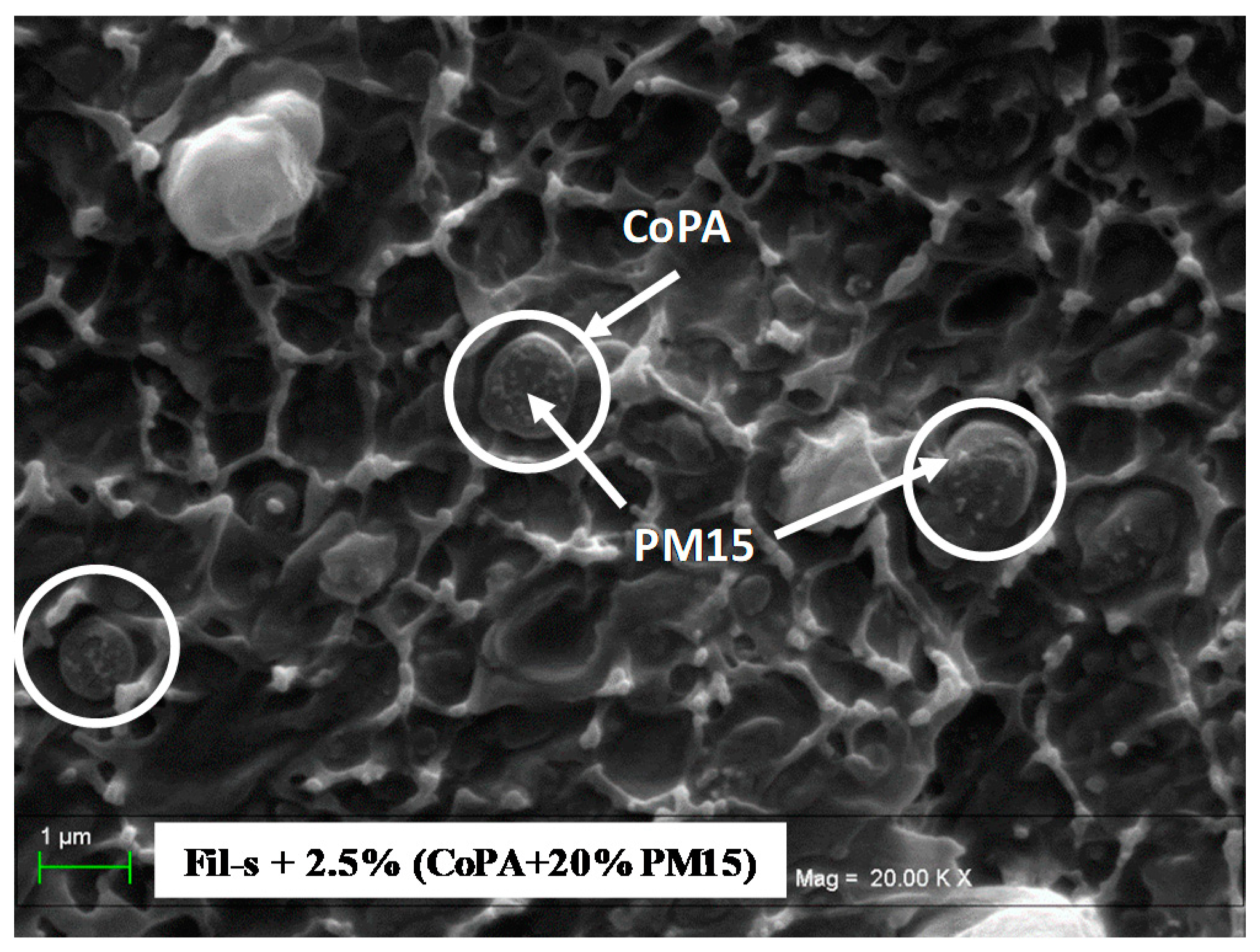 Polymers 11 00830 g007