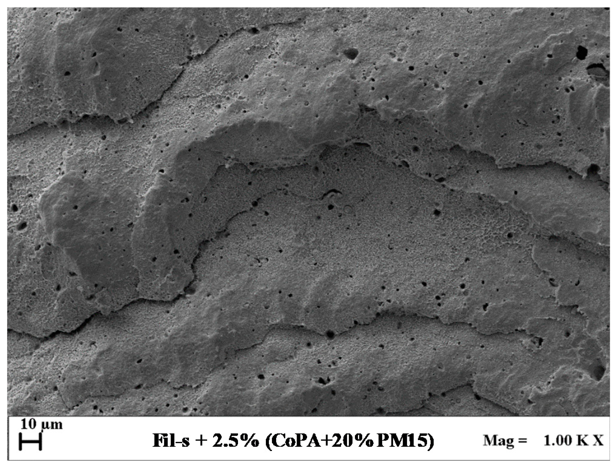 Polymers 11 00830 g008