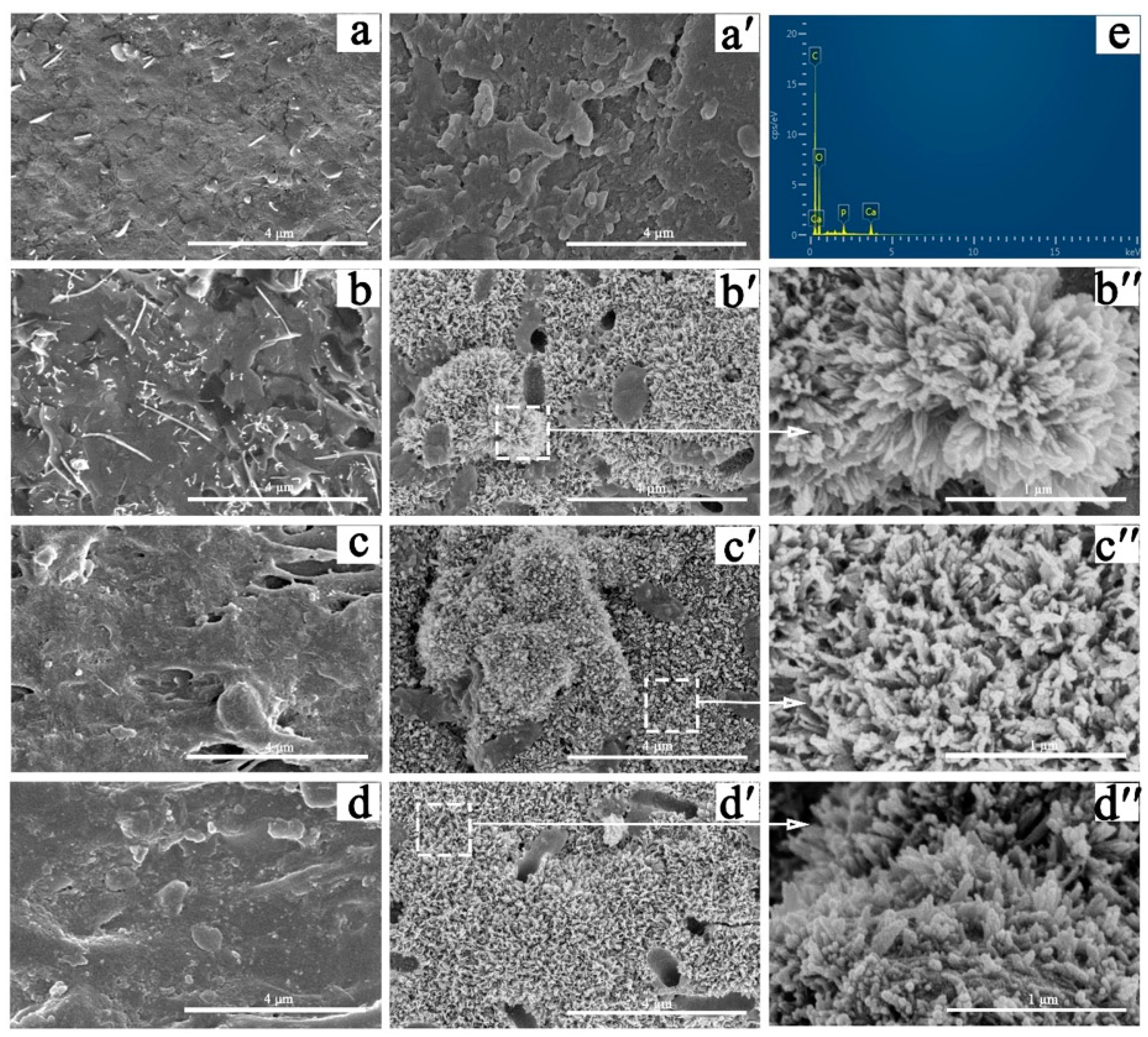 Polymers 11 00831 g005