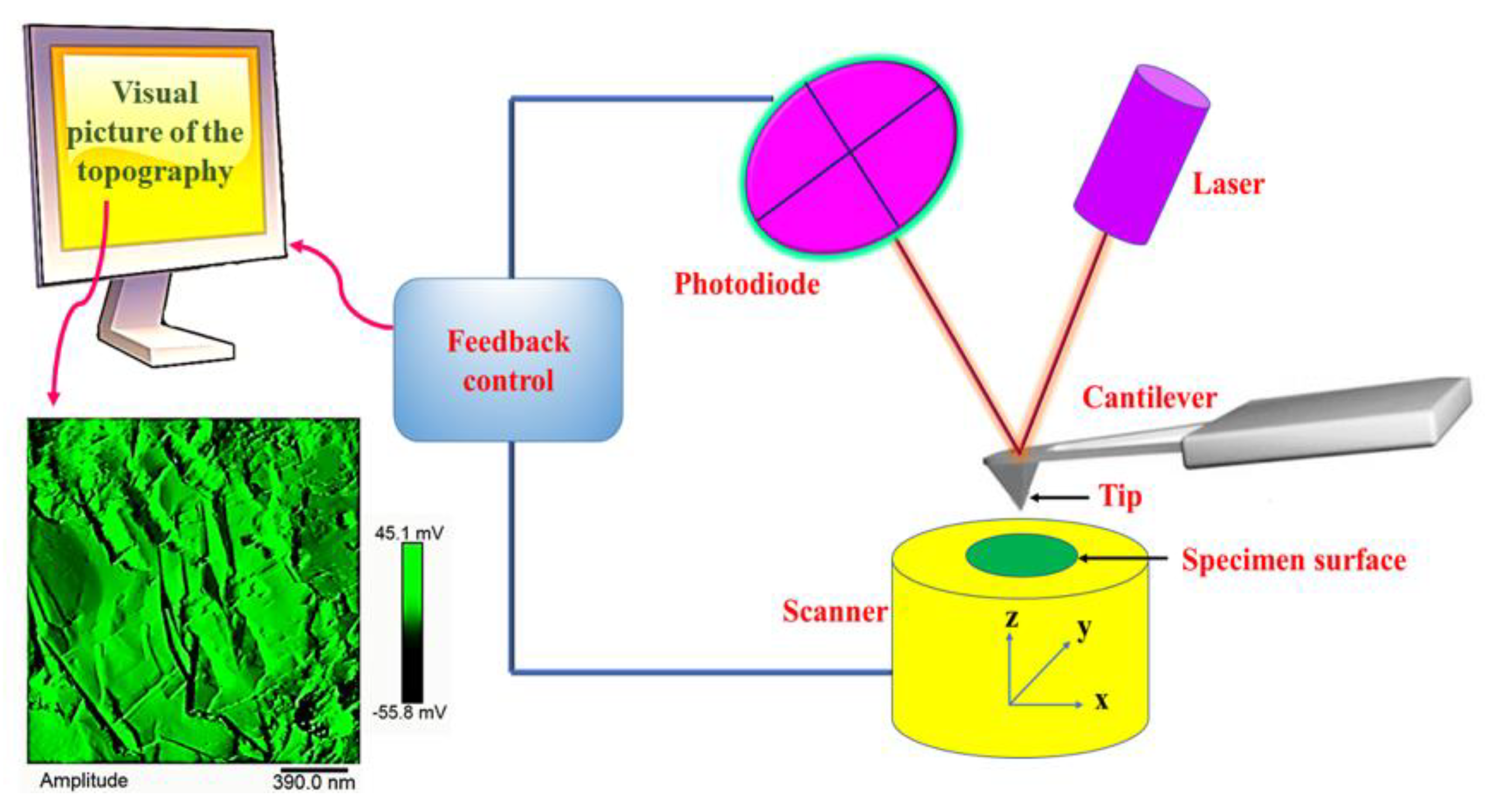 Polymers 11 00832 g002
