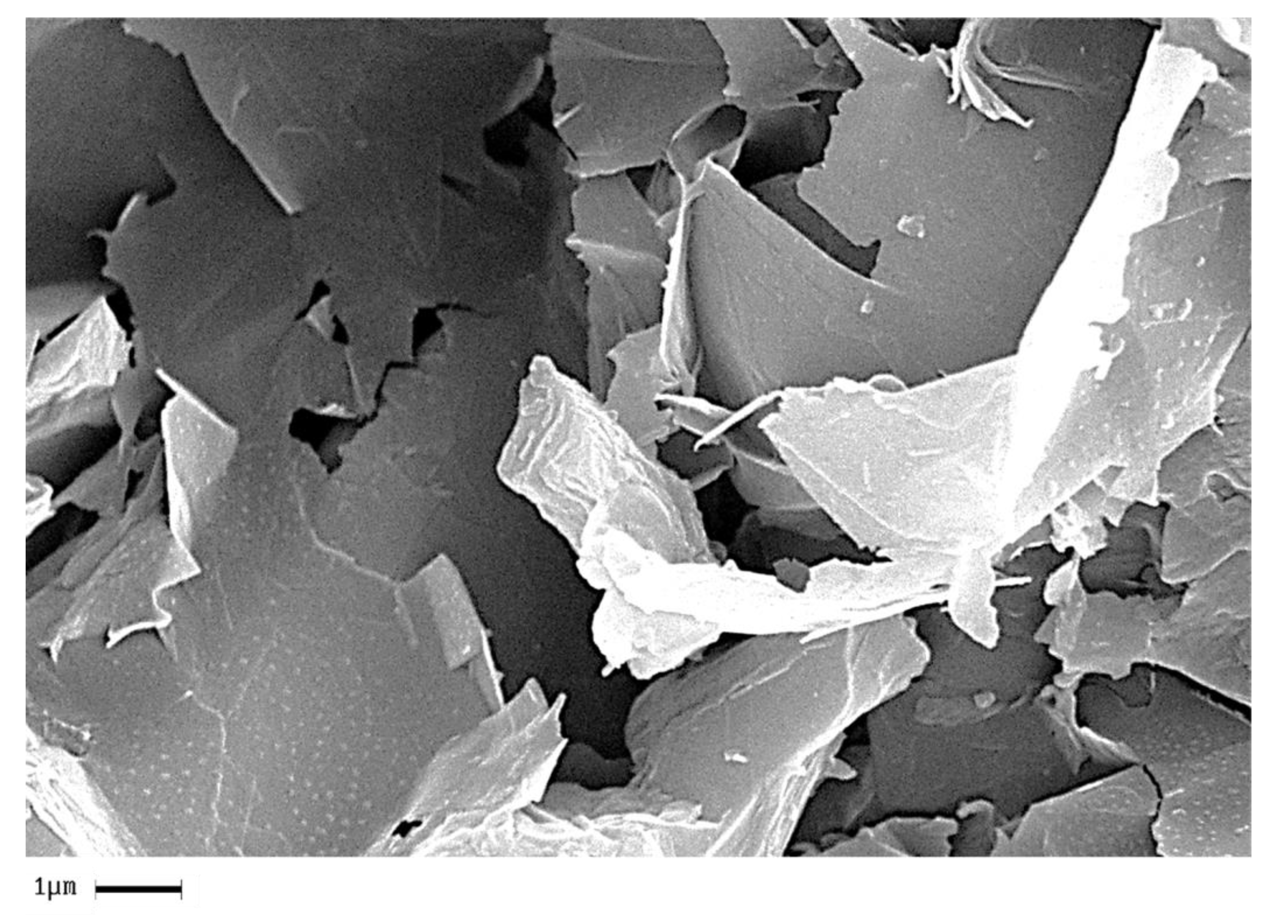 Polymers 11 00832 g018