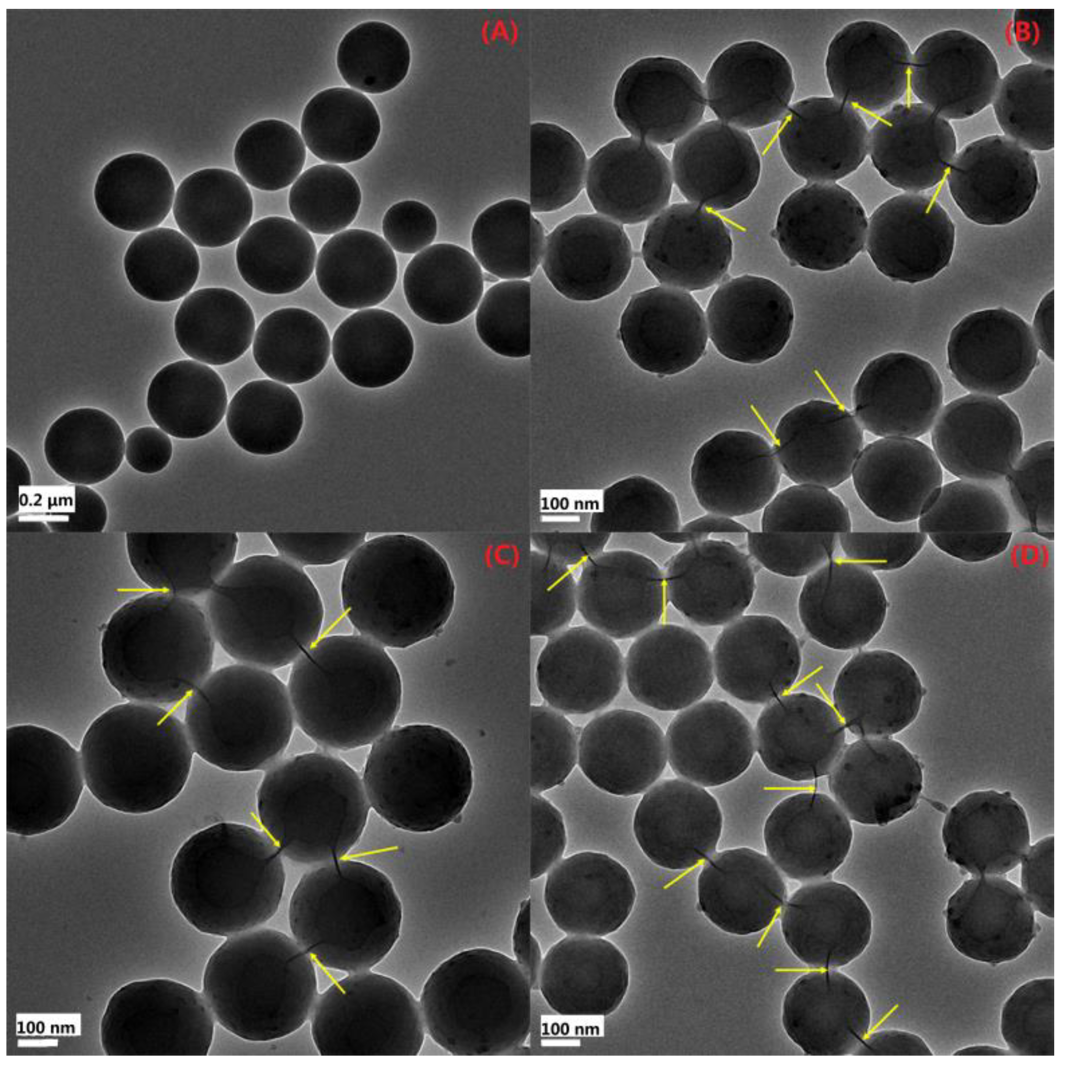 Polymers 11 00834 g007
