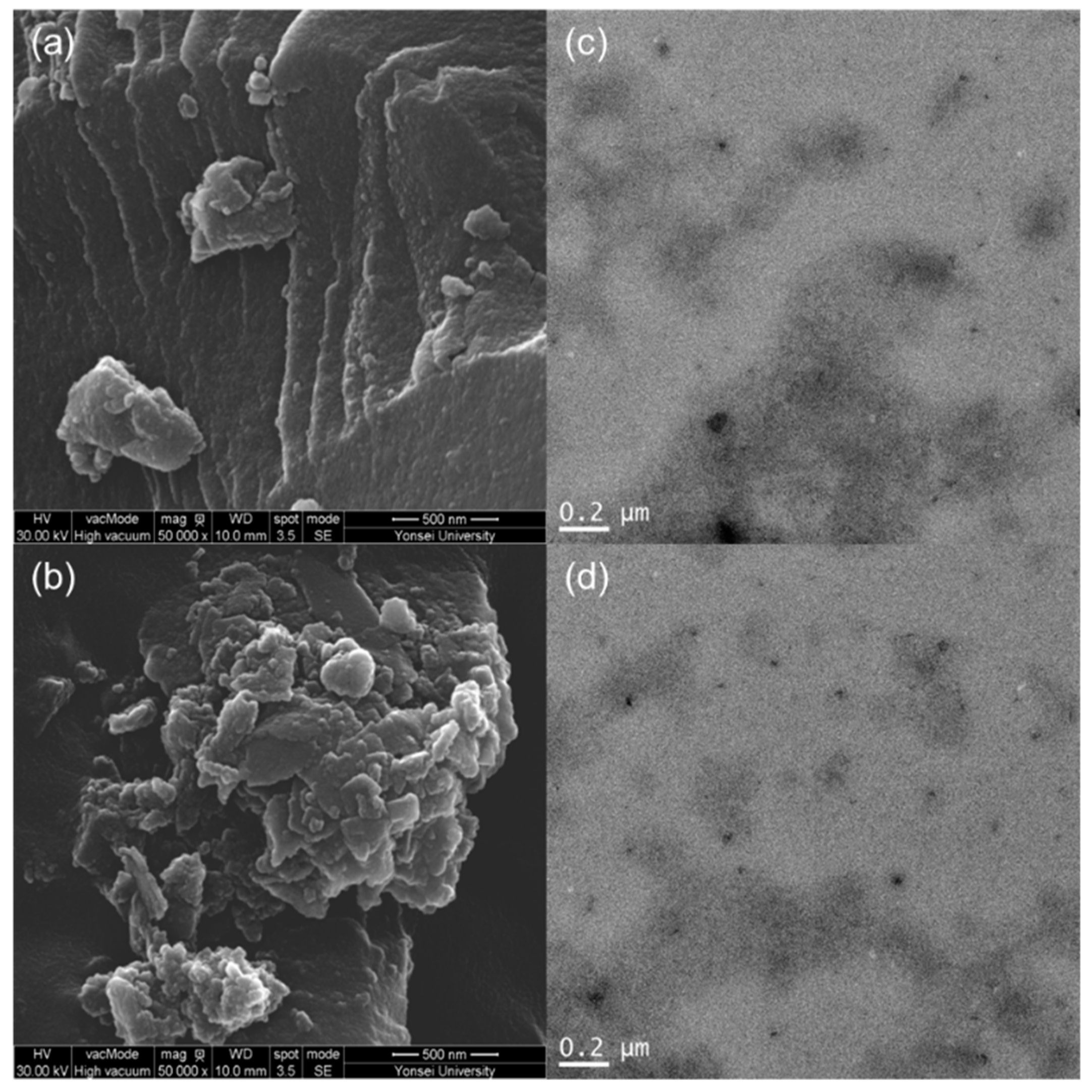 Polymers 11 00841 g008