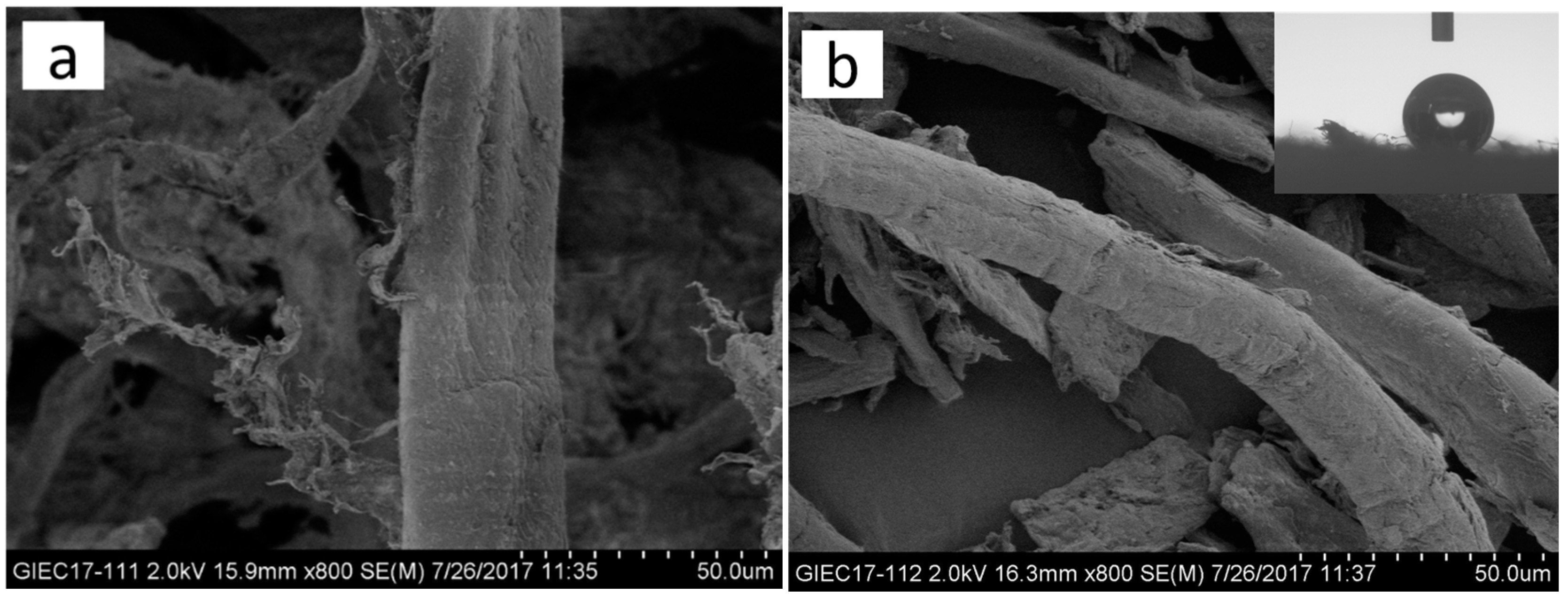 Polymers 11 00842 g002a