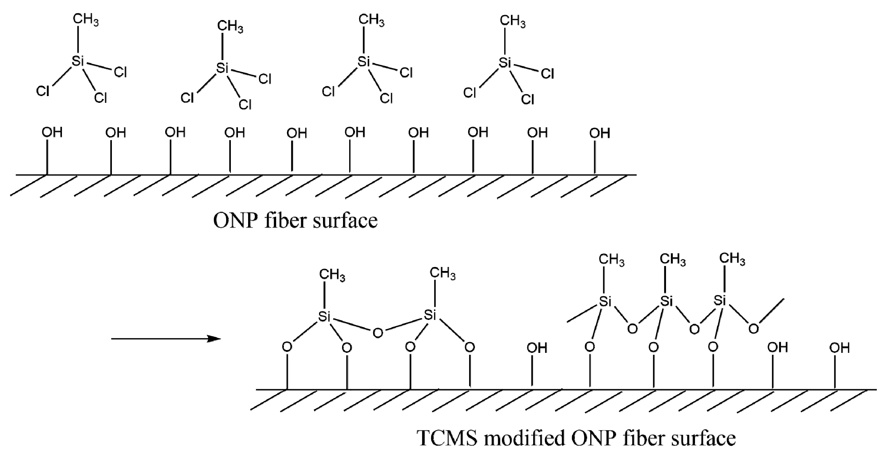 Polymers 11 00842 g005