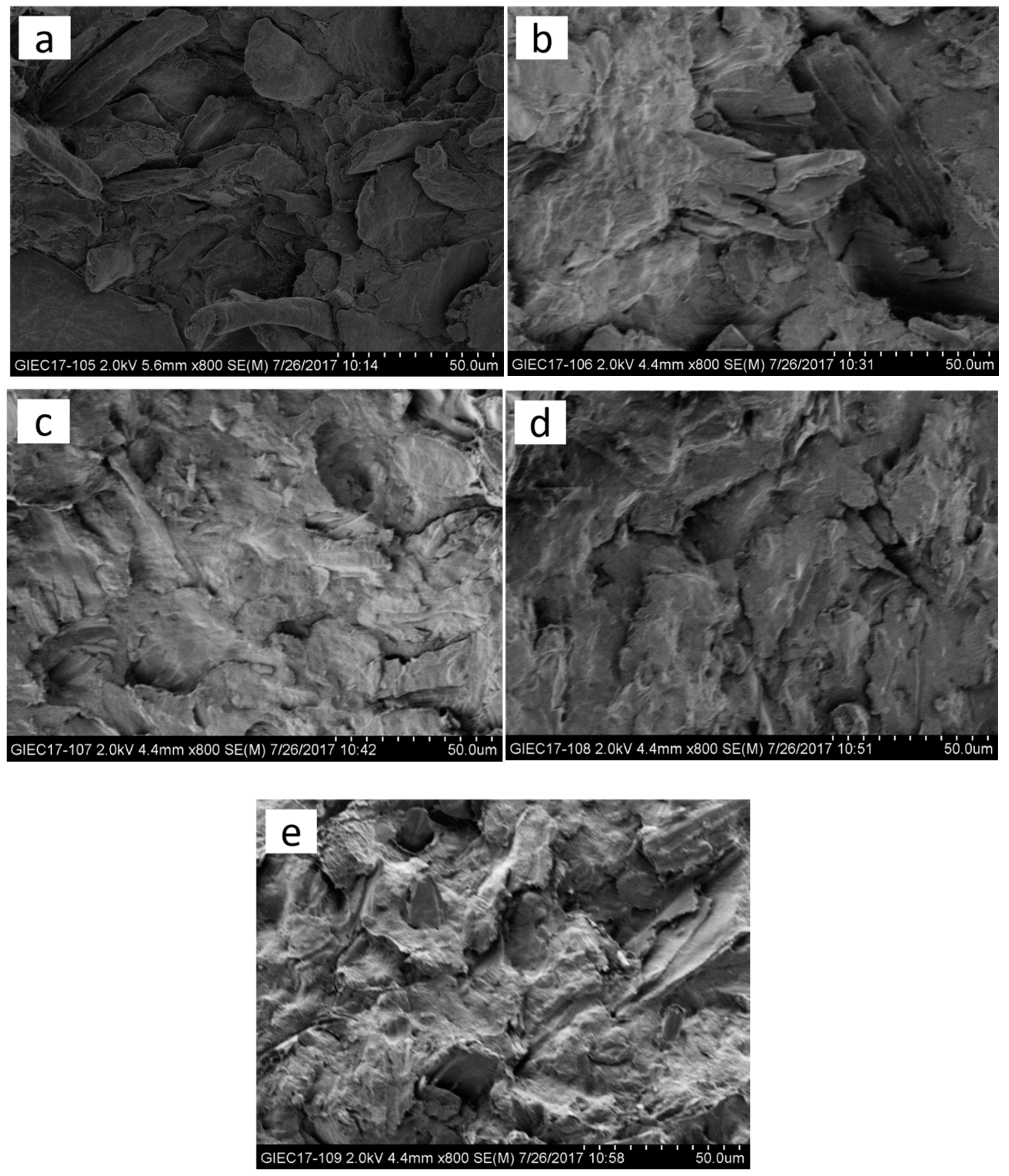Polymers 11 00842 g008