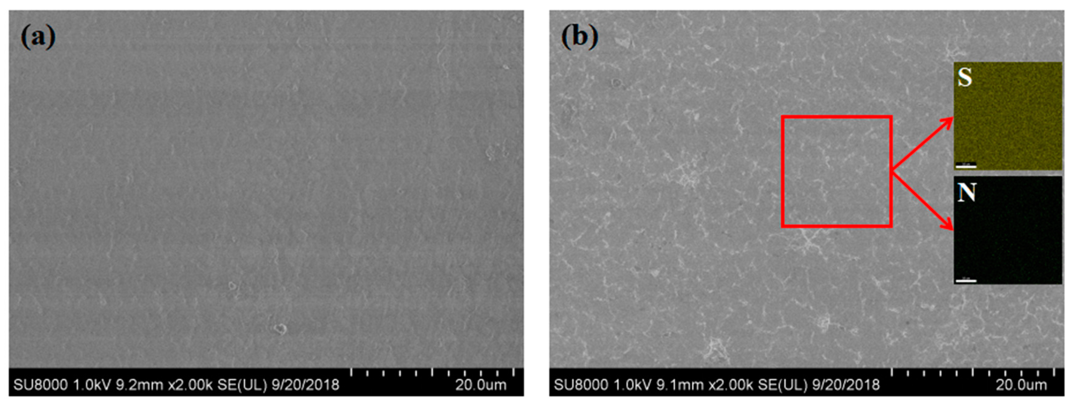 Polymers 11 00843 g005