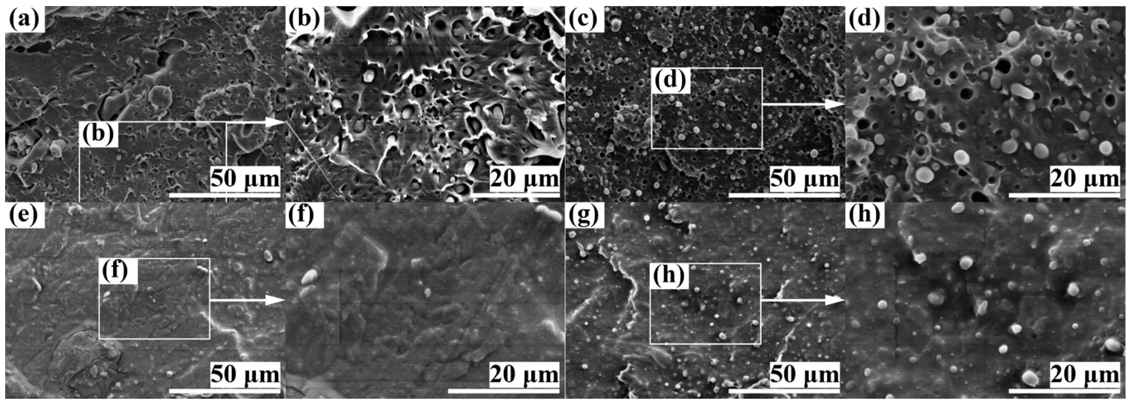 Polymers 11 00846 g001 Polymers 11 00846 g001